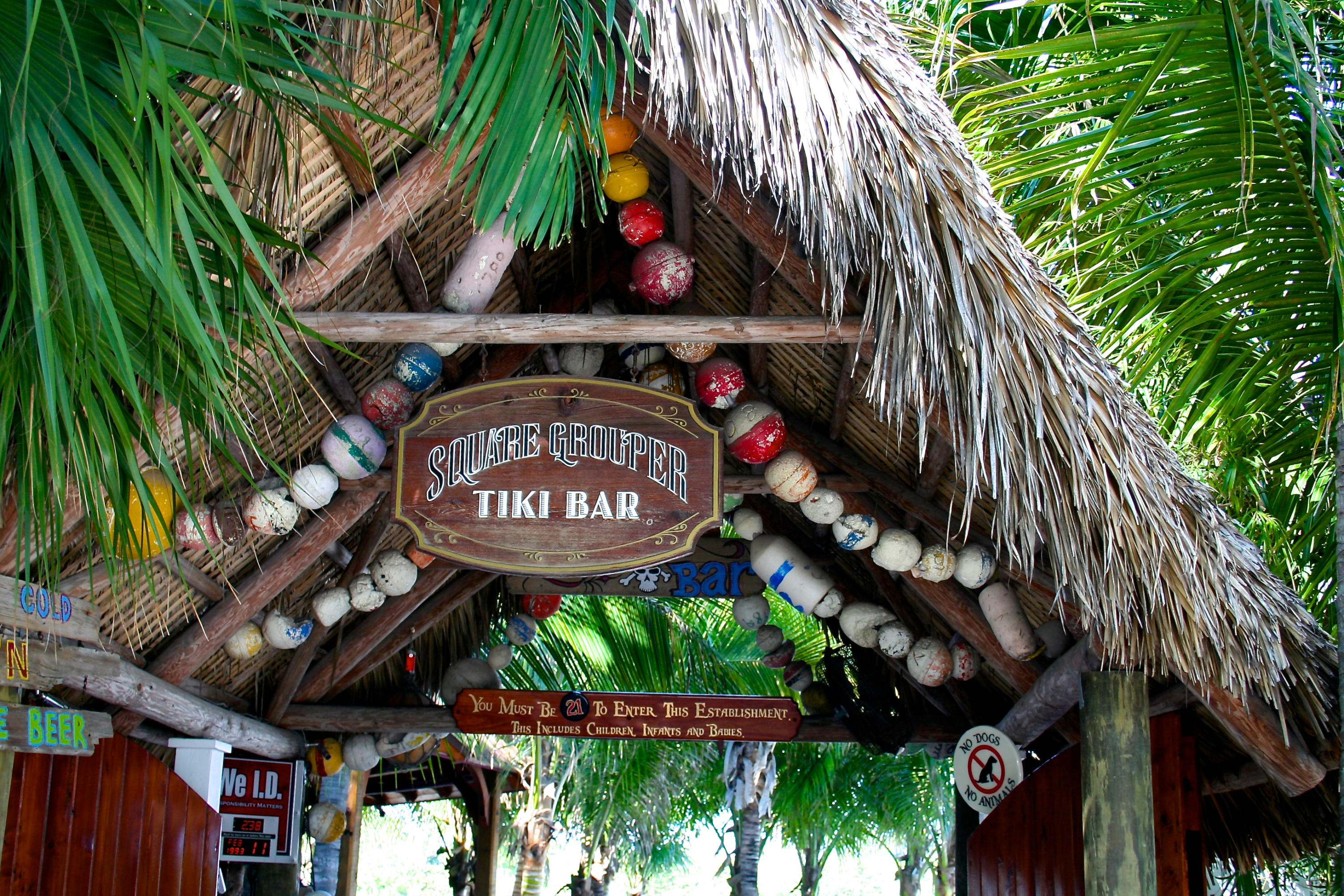 TRADITION PLAT NO 19 - Residential