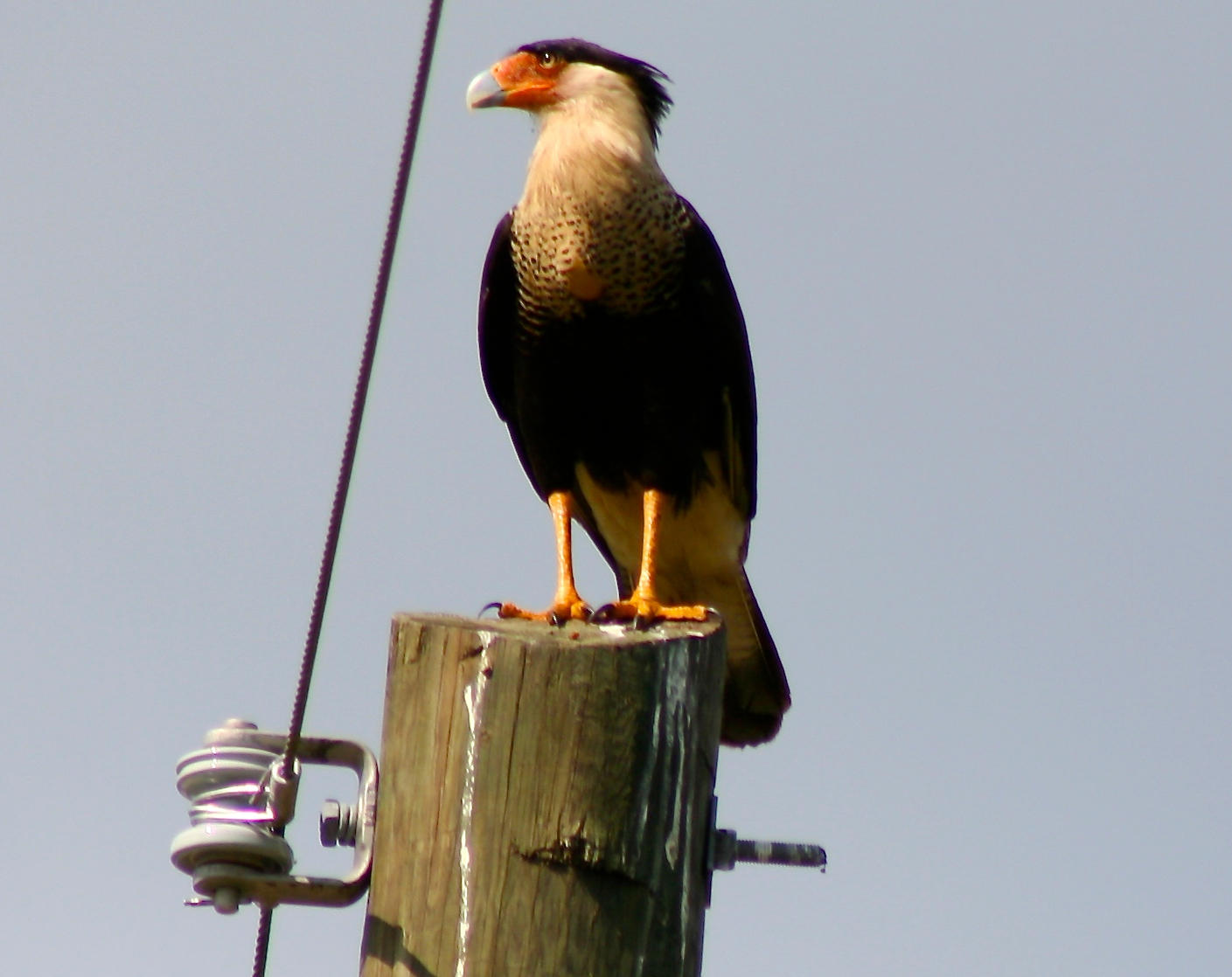 TRADITION PLAT NO 19 - Residential