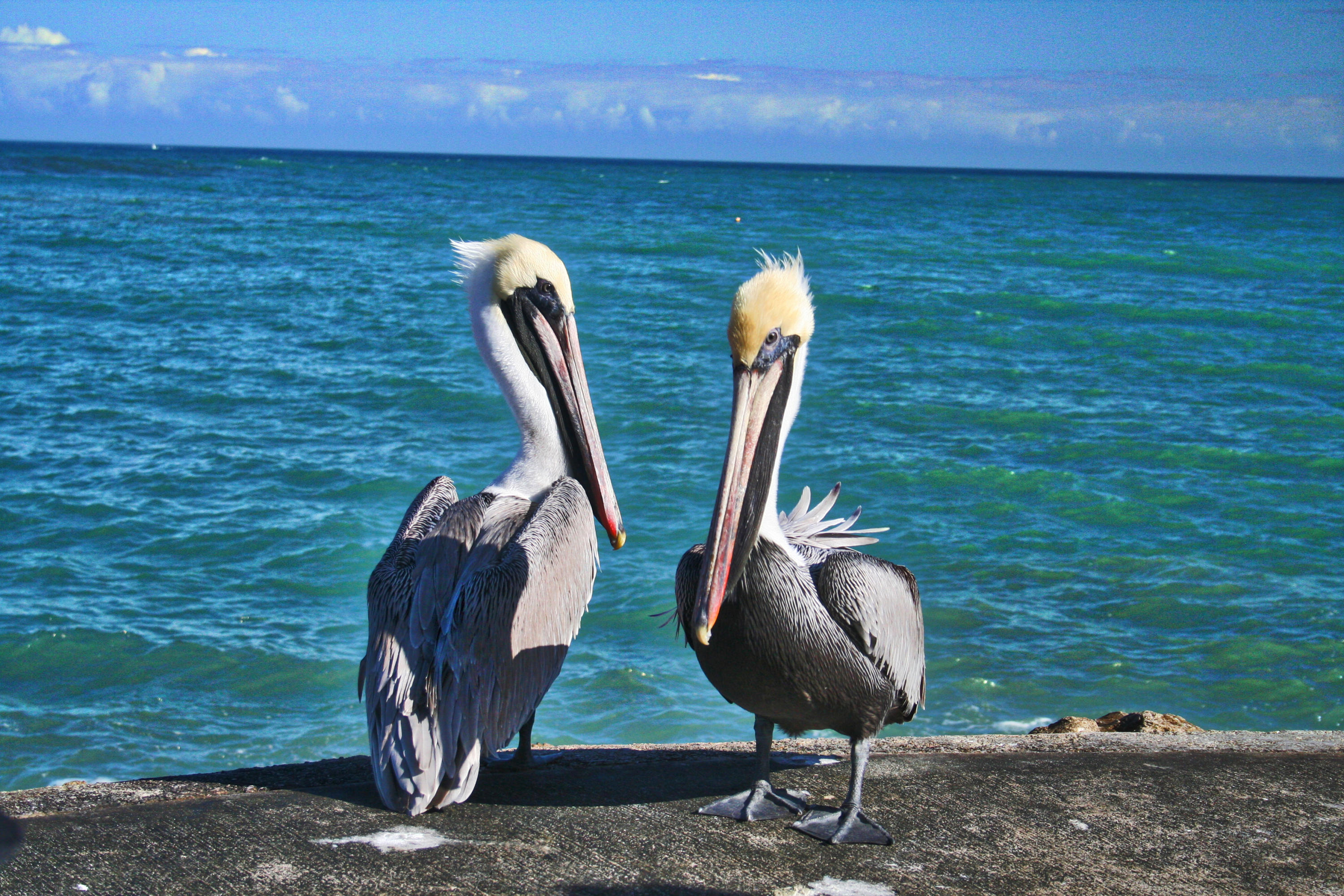 TRADITION PLAT NO 19 - Residential