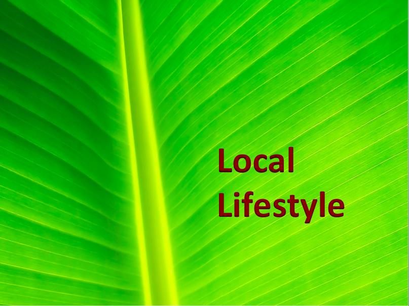 TRADITION PLAT NO 19 - Residential