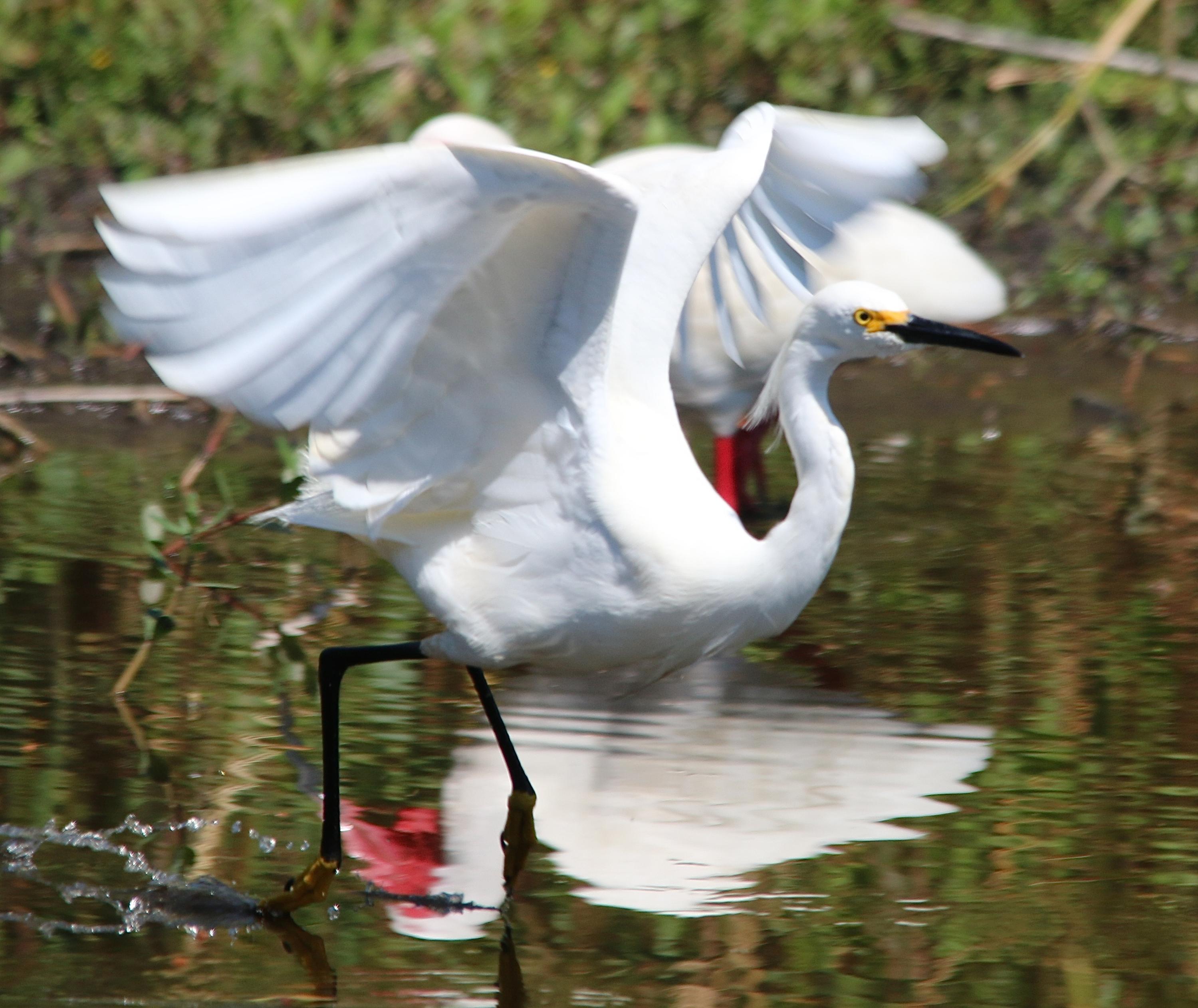 TRADITION PLAT NO 19 - Residential