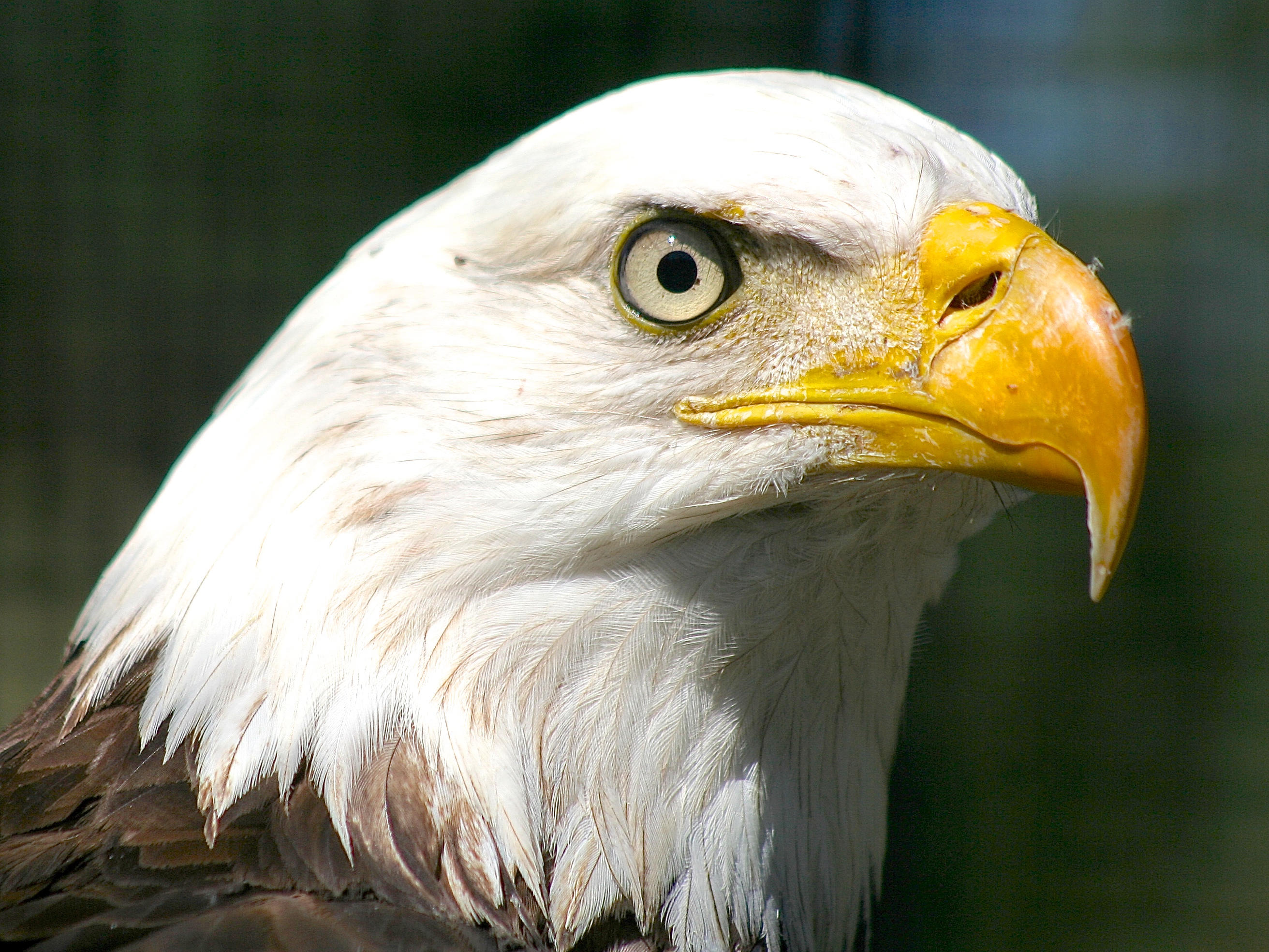 TRADITION PLAT NO 19 - Residential