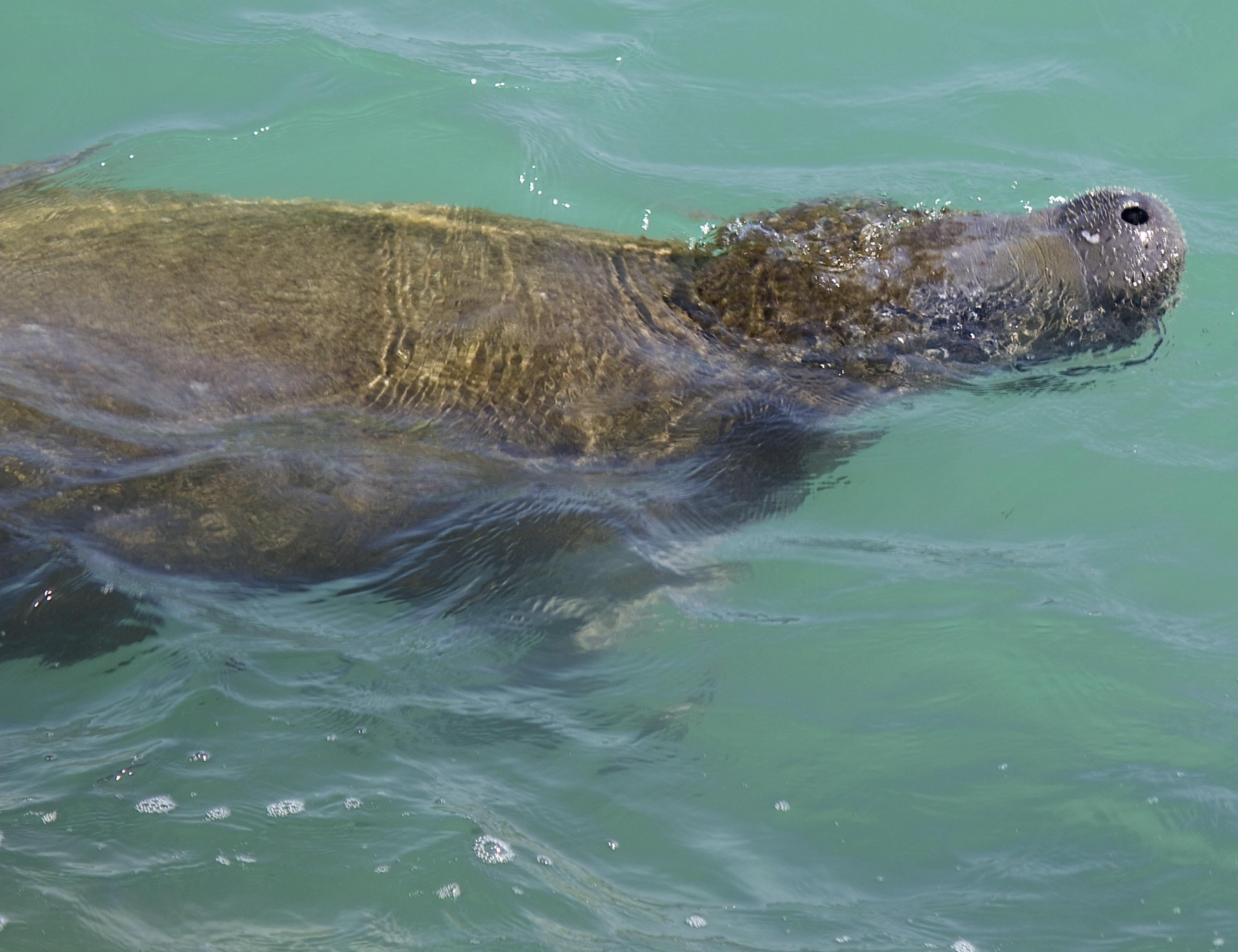 TRADITION PLAT NO 19 - Residential