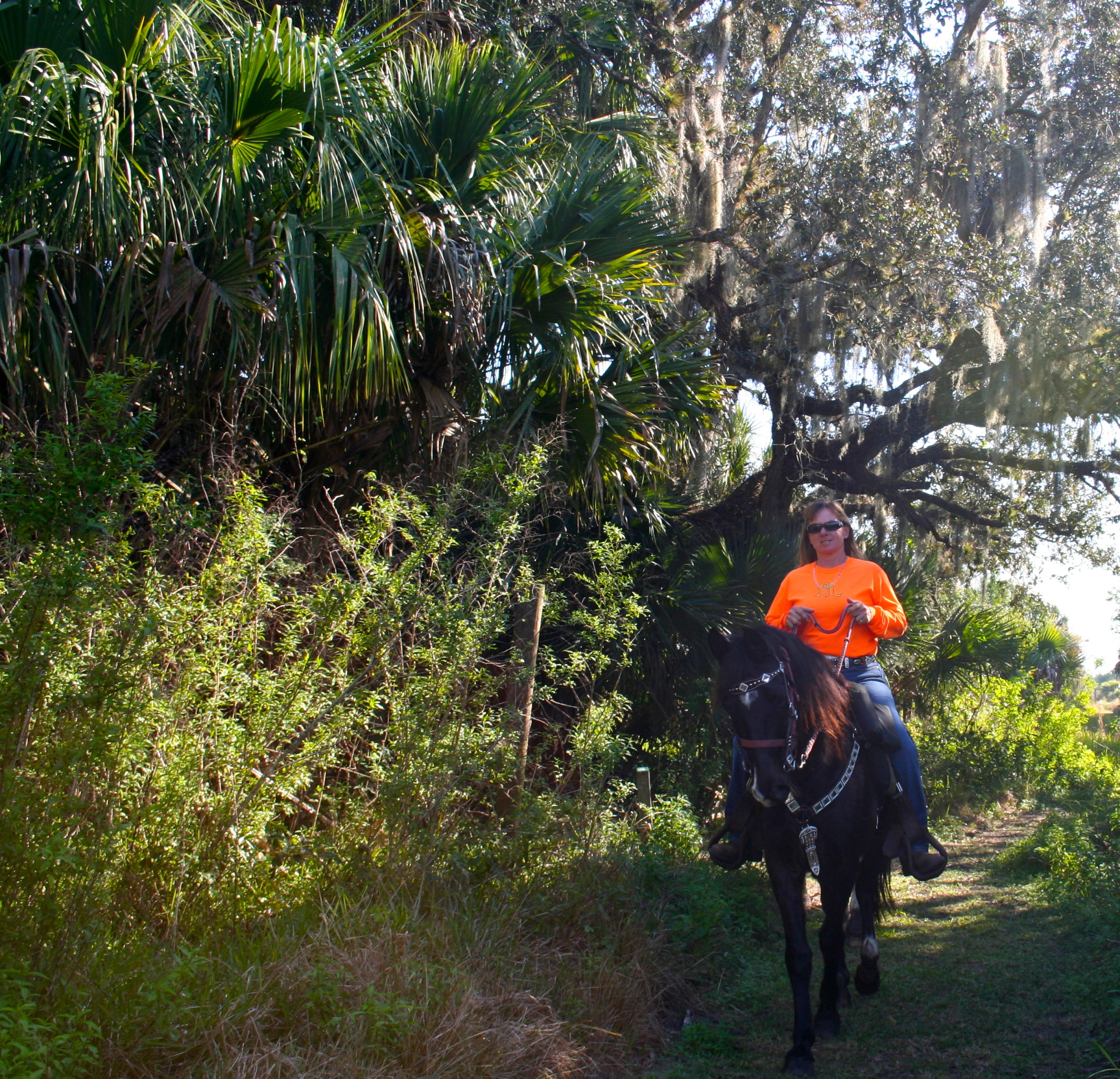 TRADITION PLAT NO 19 - Residential