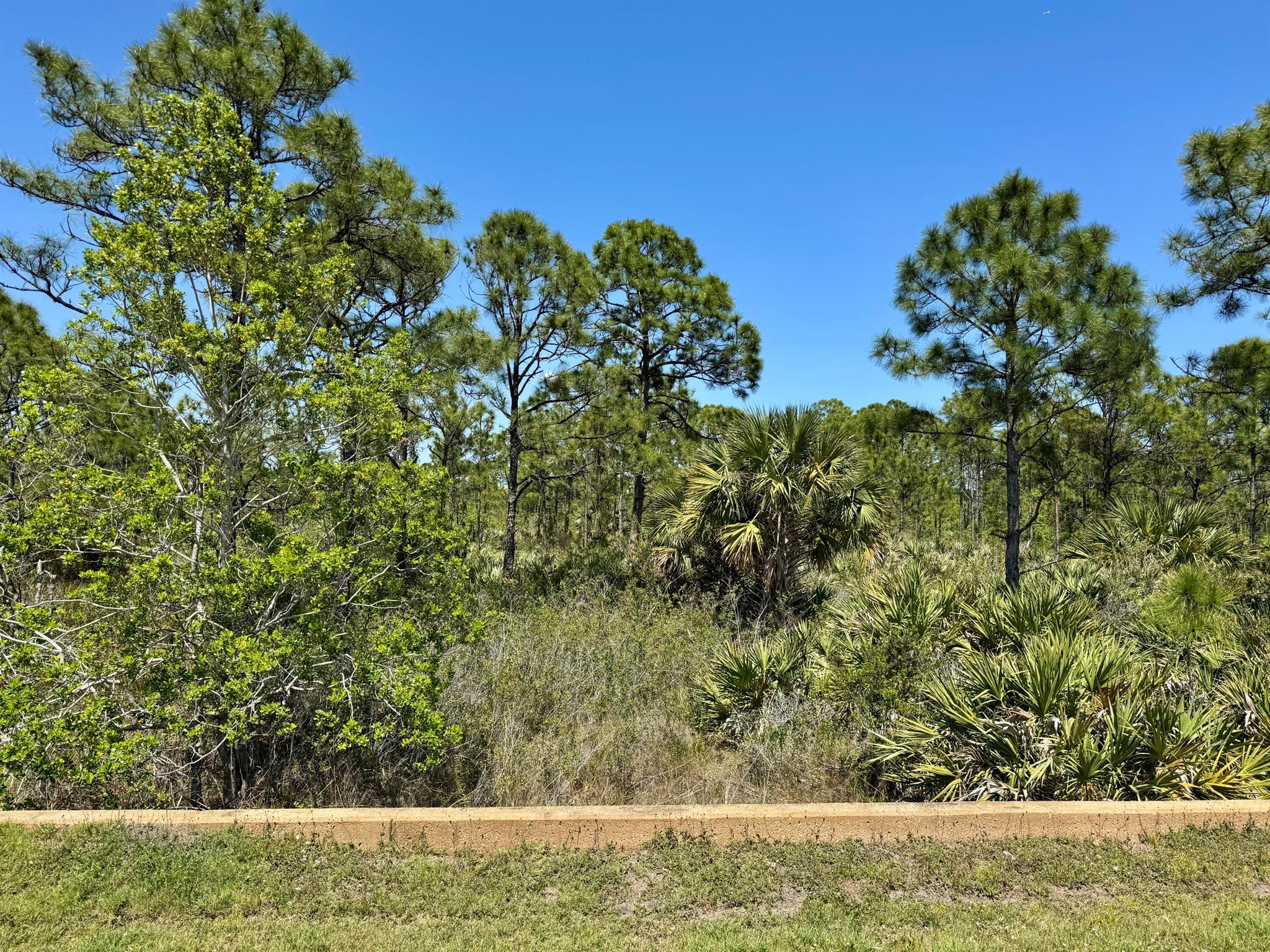 Located within Tesoro Club, the premier gated golf community on the Treasure Coast, this prime building site is available for construction. Bordering a wooded preserve featuring a lush upland pine forest and several future golf holes, provide a scenic backdrop for your new home. The enhanced Tesoro building guidelines allow for a variety of exterior designs celebrated by today's architects. While there is no obligation to start construction immediately, the new owner can choose from a list of approved builders within Tesoro. Membership in Tesoro Club is completely voluntary and is not required to own this building site. The community is manned with 24-hour security, ensuring your peace of mind. Please note that an appointment is necessary to view this property.
