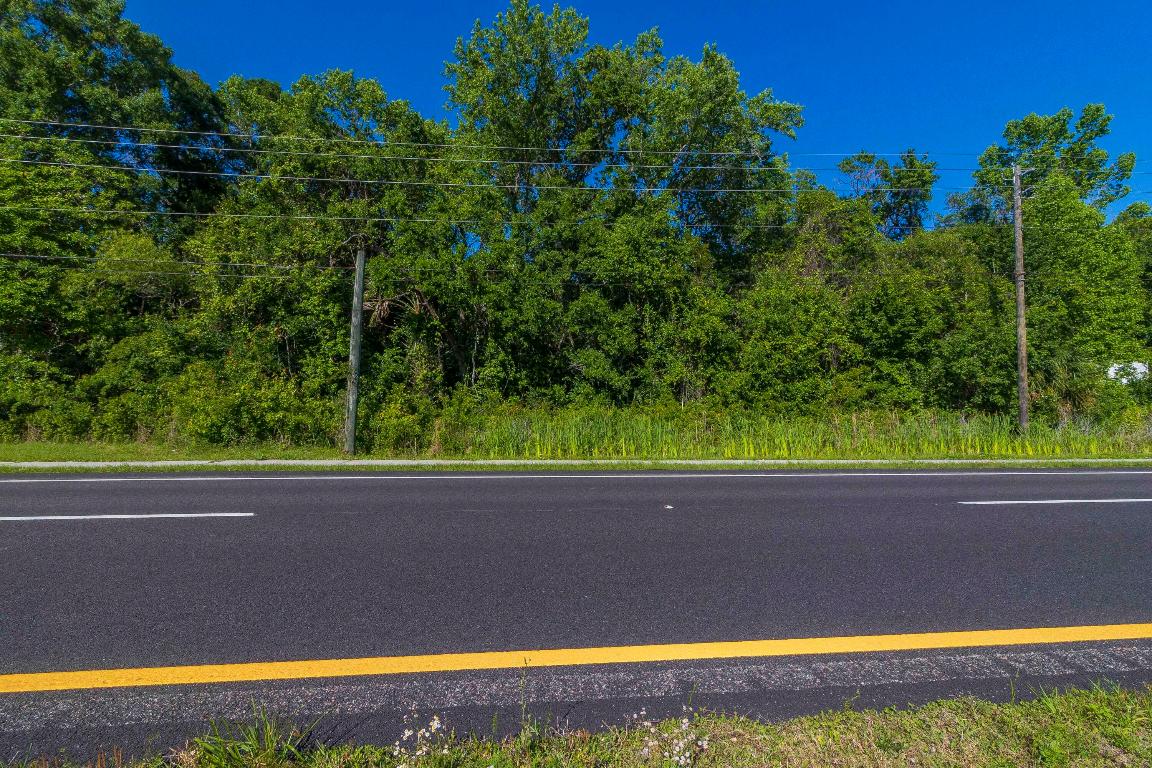 Summerlins Unplatted - Land