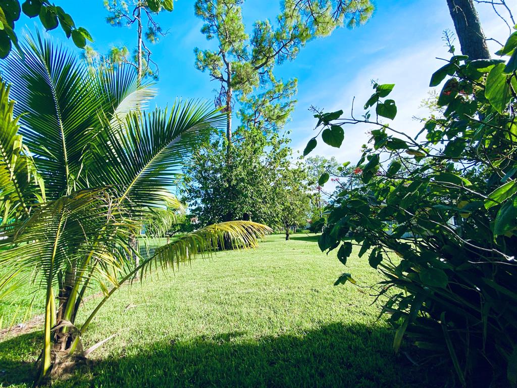 LOXAHATCHEE - Residential