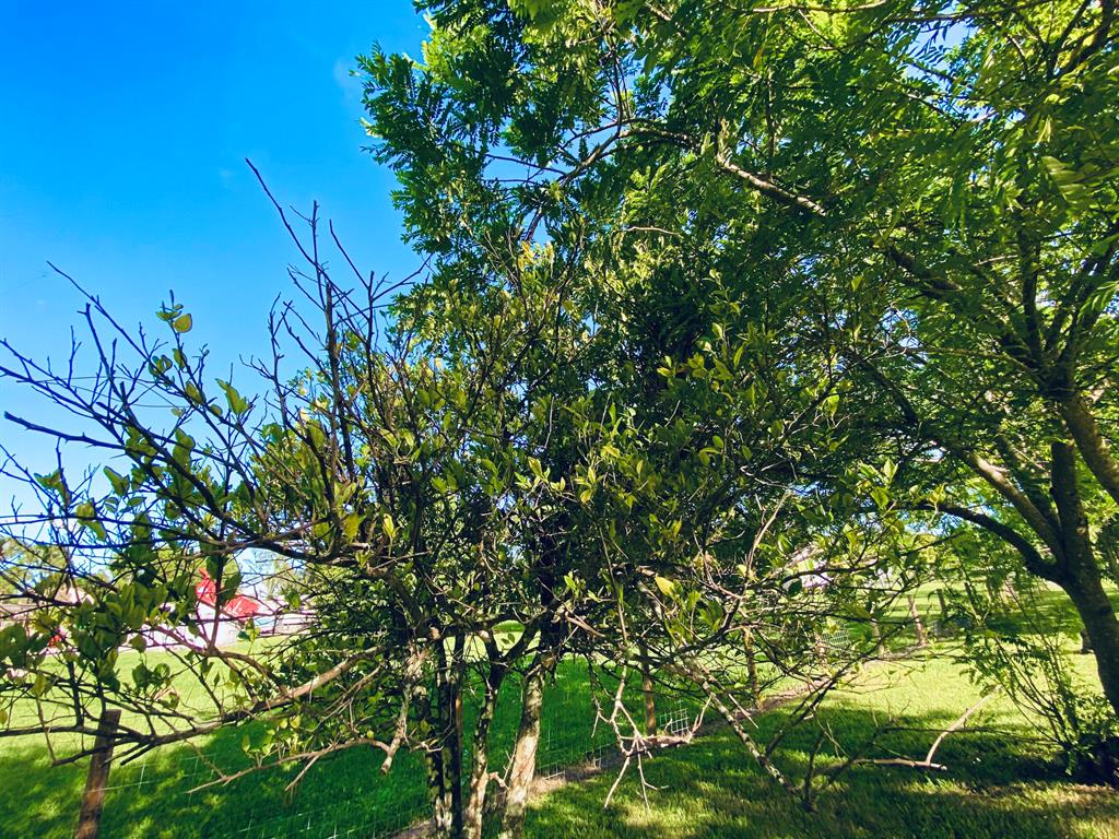 LOXAHATCHEE - Residential