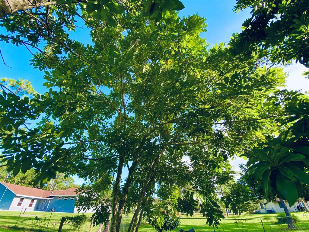 LOXAHATCHEE - Residential