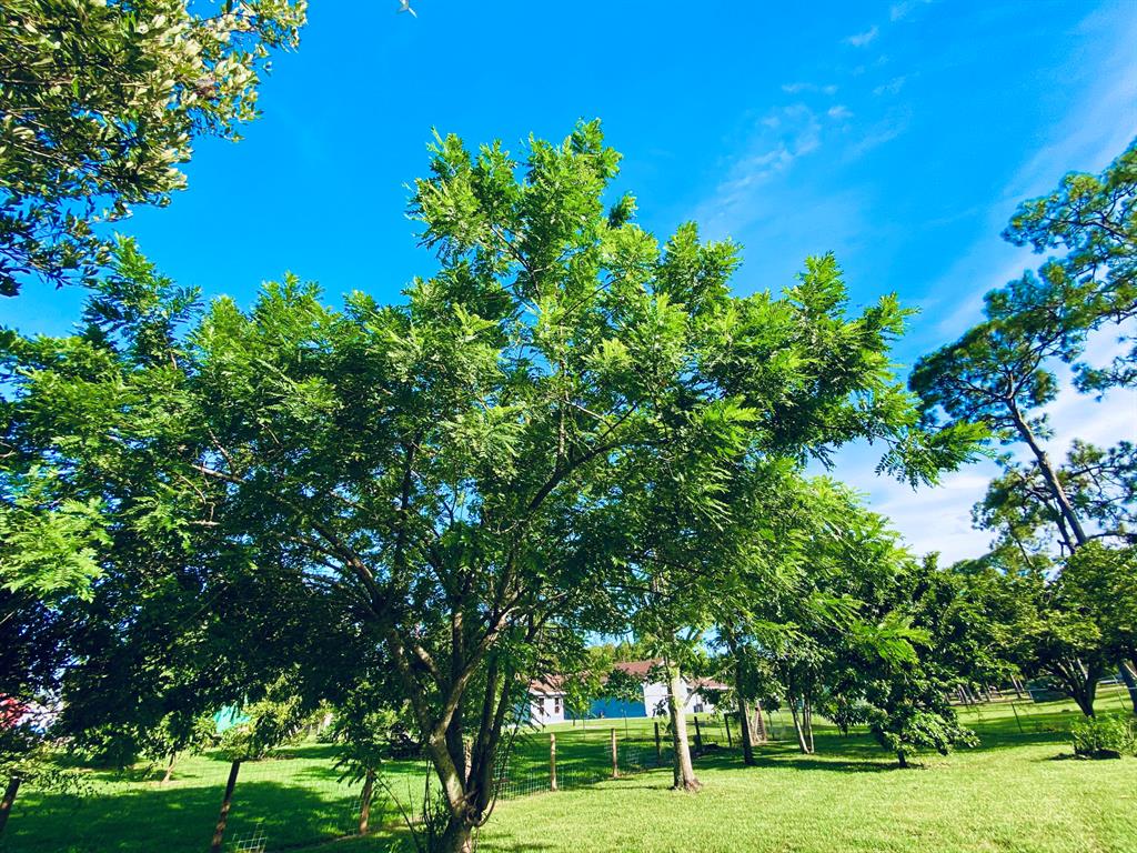 LOXAHATCHEE - Residential