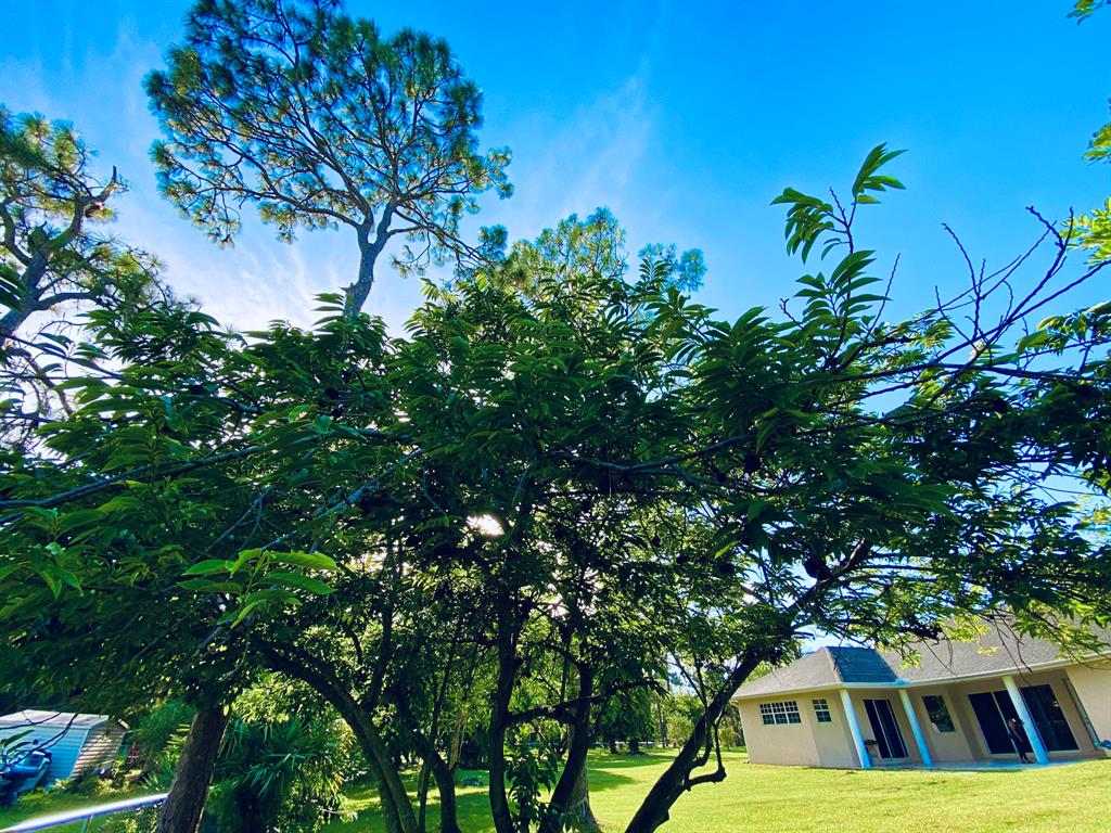 LOXAHATCHEE - Residential