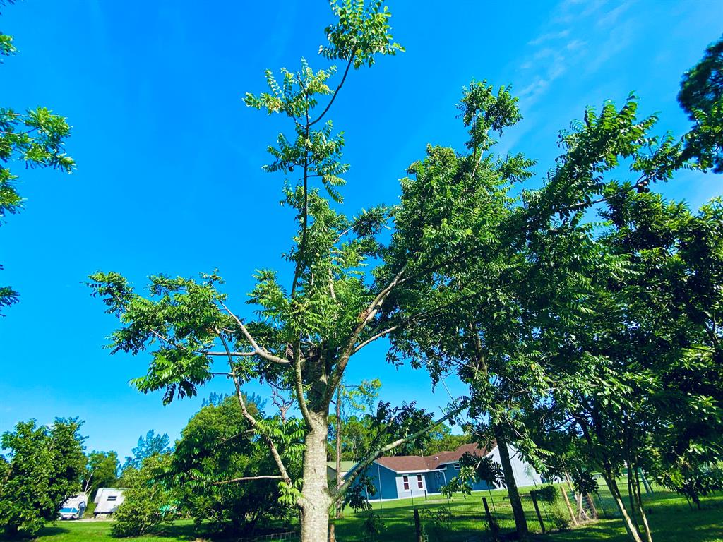 LOXAHATCHEE - Residential