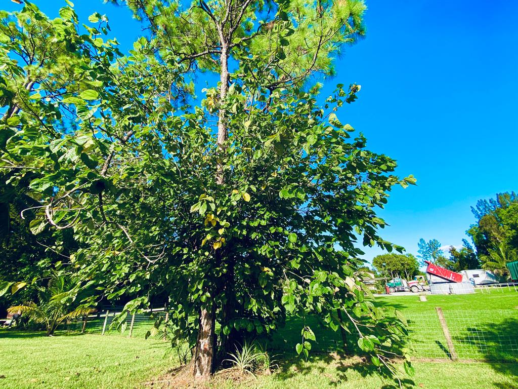 LOXAHATCHEE - Residential
