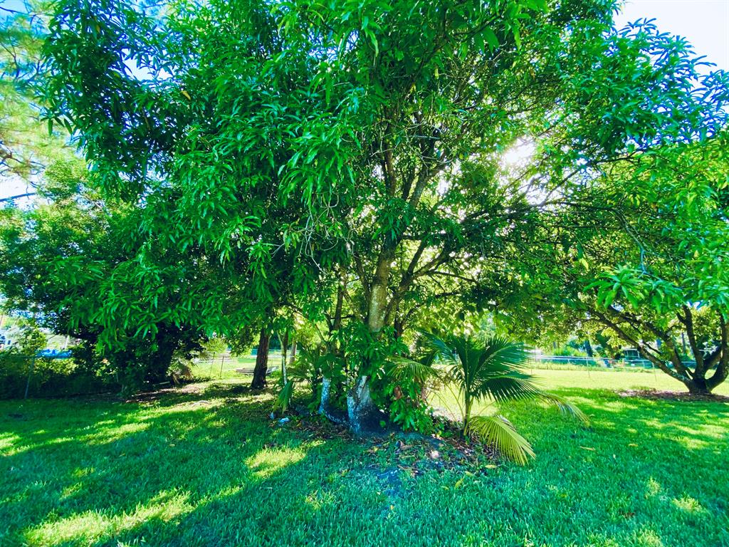 LOXAHATCHEE - Residential