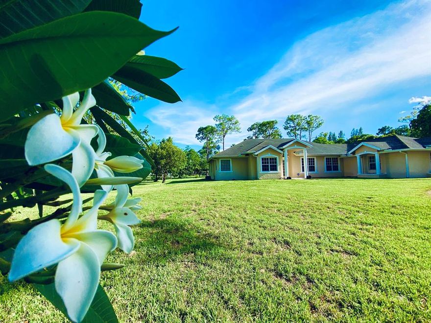 WOW !!  2954 SQ FT !!  NO HOA !!  1.33 ACRES !!  THIS IS YOUR CHANCE TO OWN A HUGE SQ FT HOME ON OVER AN ACRE LOT ELEGANCE AWAITS  AS YOU ENTER THIS MASSIVE  HOME, GRAND  FORMAL LIVING ROOM AWAITS WITH CATHEDRAL CEILING, LOTS OF NATURAL LIGHT.  SPLIT OPEN FLOOR PLAN !! CUSTOM BUILT HOME FEATURES LARGE DESIGNER KITCHEN, WITH BREAKFAST BAR, BREAKFAST NOOK, AND OVERLOOKS NICE SIZE FAMILY ROOM.  MASTER SUITE  WITH SITTING AREA, LARGE WALK IN CLOSETS, HIS AND HER SINK AREA, TUB AND SHOWER. THIS BEAUTY ALSO BOASTS FORMAL DINING,  OVERSIZE LAUNDRY ROOM WITH STORAGE CLOSET.   LOTS OF ROOM FOR POOL.  MATURE EXOTIC FRUIT TREES- MANGOES, JUNE PLUM, COCONUTS, ***CANCER CURING MERINGAI ***THE OVERSIZED BACK PATIO IS IDEAL FOR FAMILY GATHERING/ ENTERTAINING.  MINUTES TO SHOPPING, SCHOOLS, BANKS, GAS &