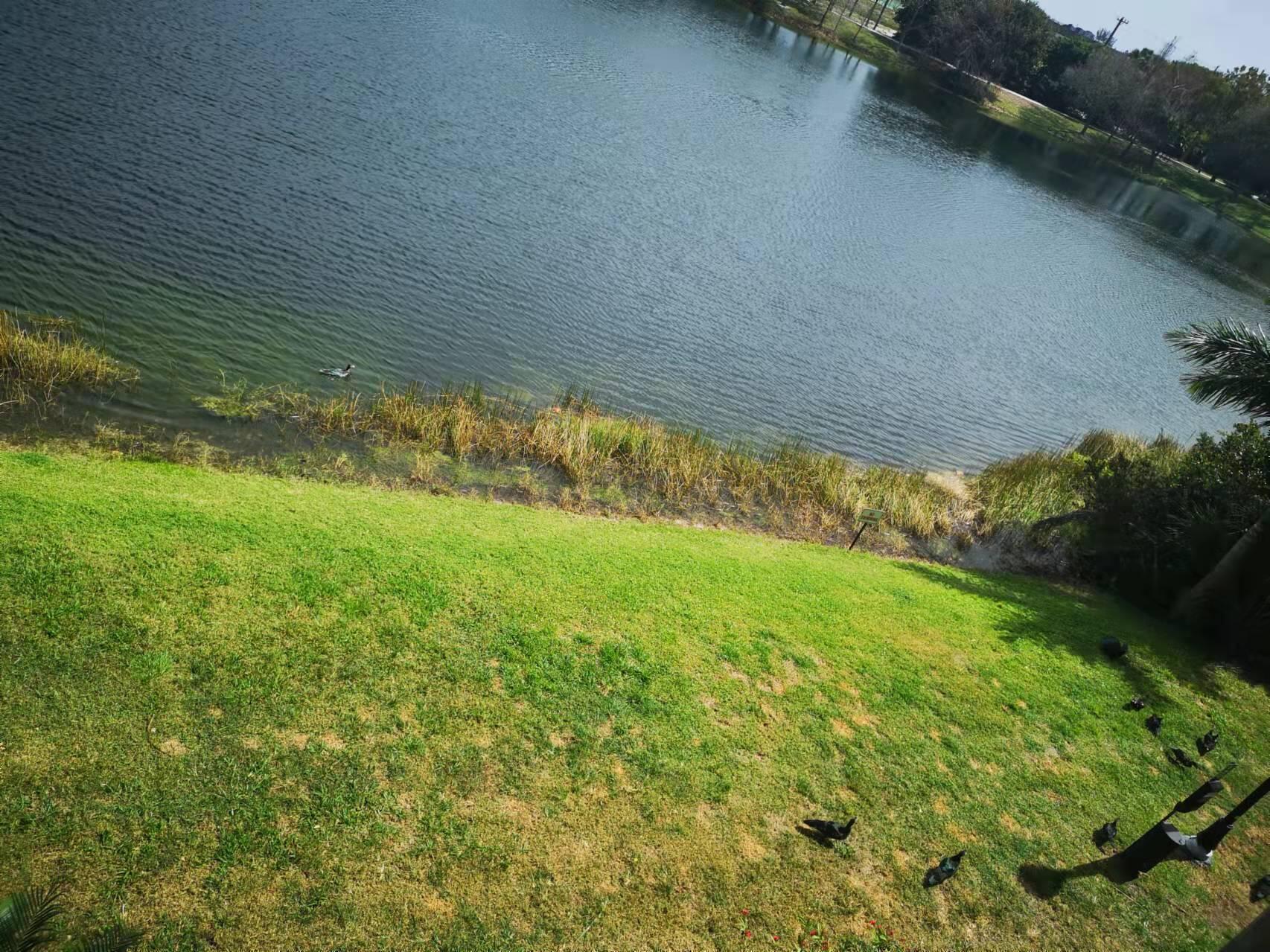 VIZCAYA LAKES CONDO - Residential