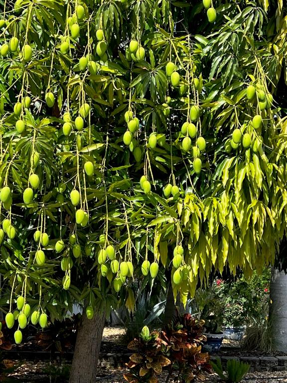 CONFERENCE RIDGE - Residential