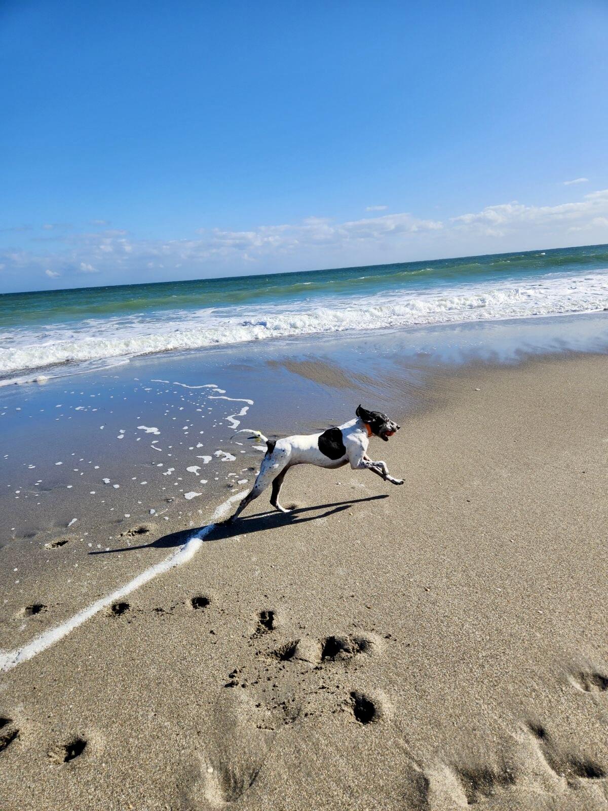 SEA LOFTERS CONDO - Residential