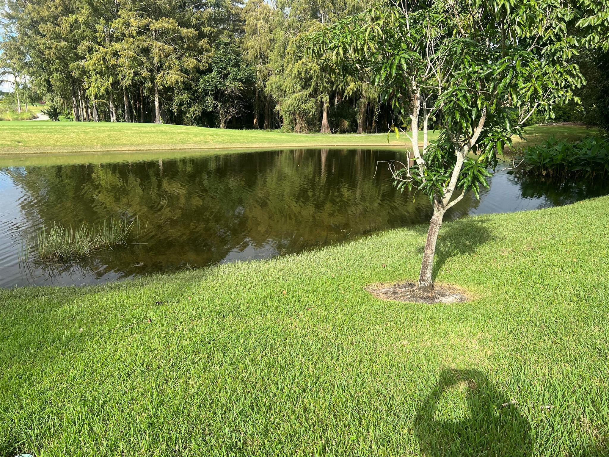 Wycliffe Golf and Country - Residential