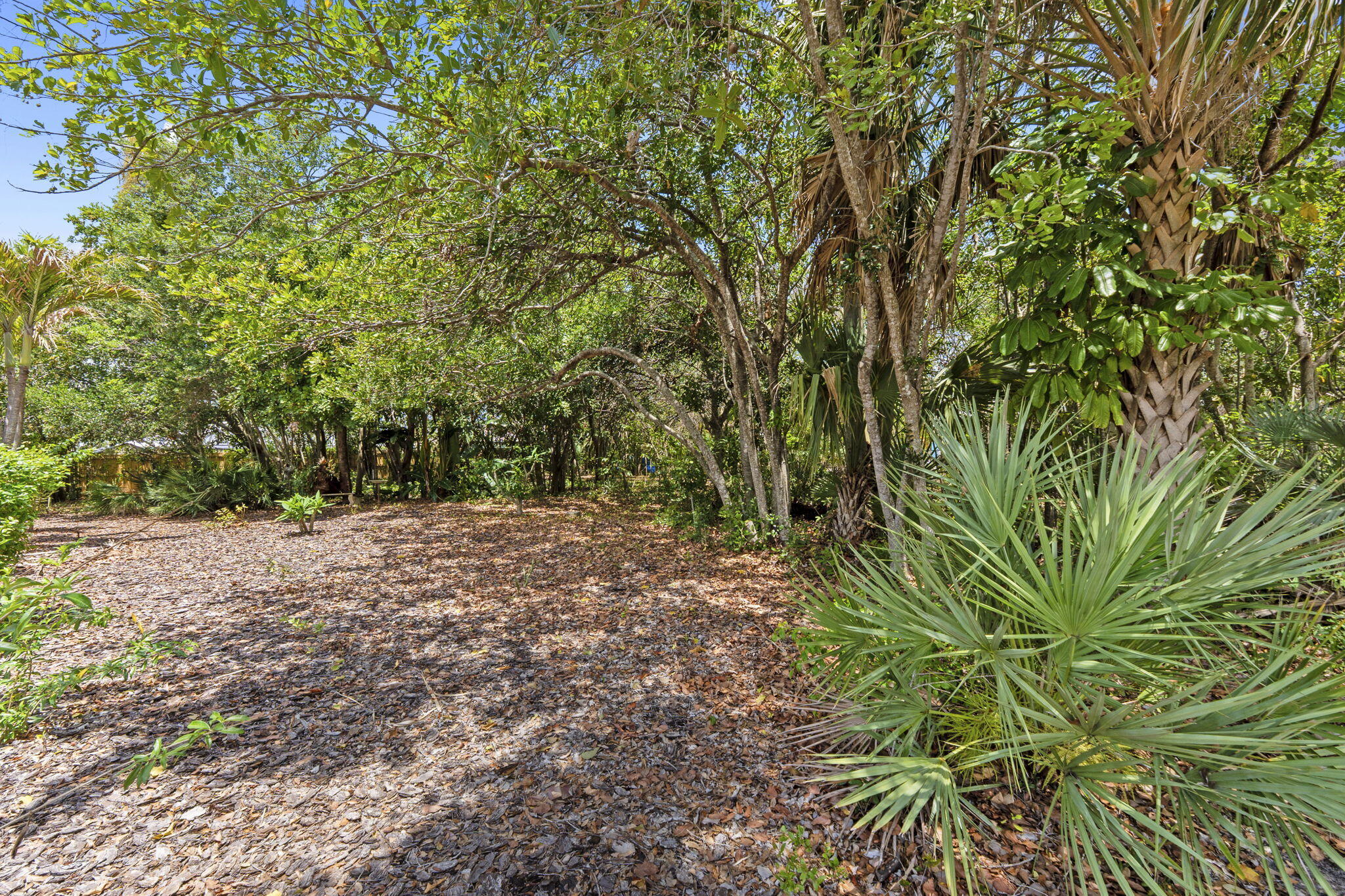 PARK PLACE - Residential