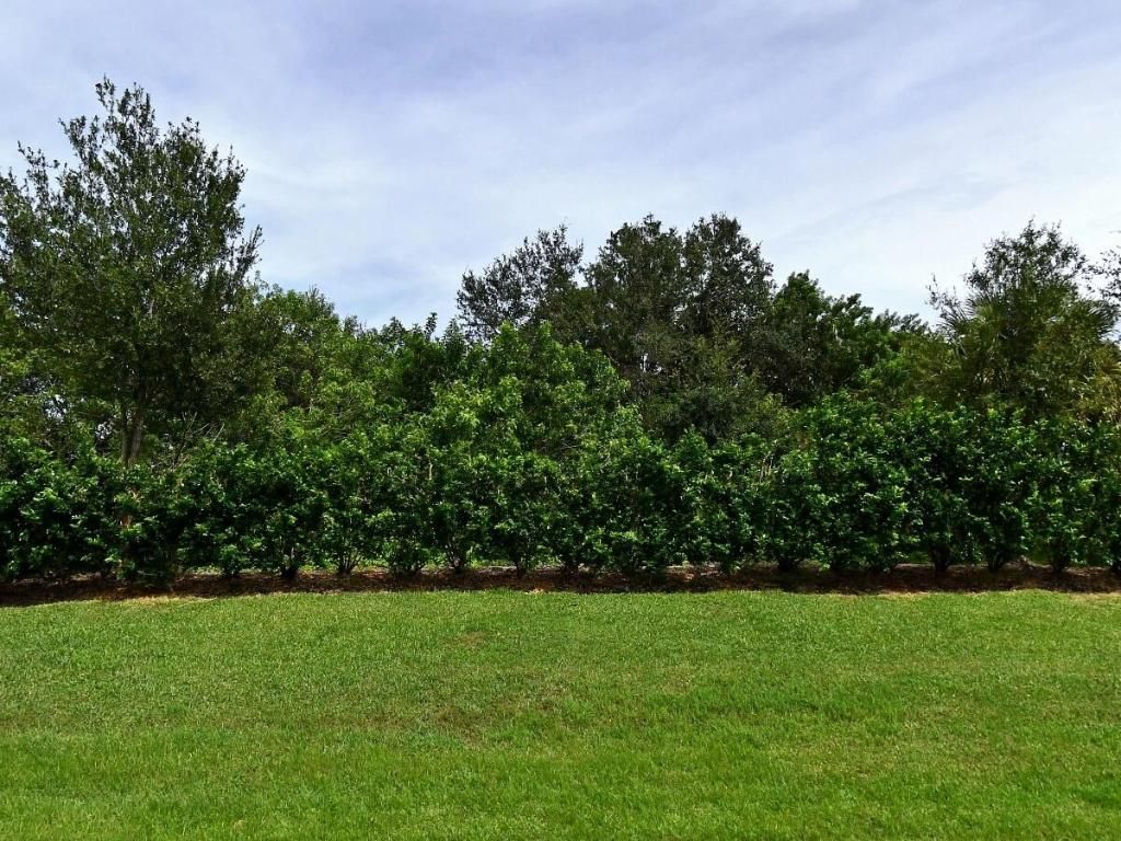 Photo of 4341 Winding Place, Fort Pierce, FL 34981 (MLS # R11072864)