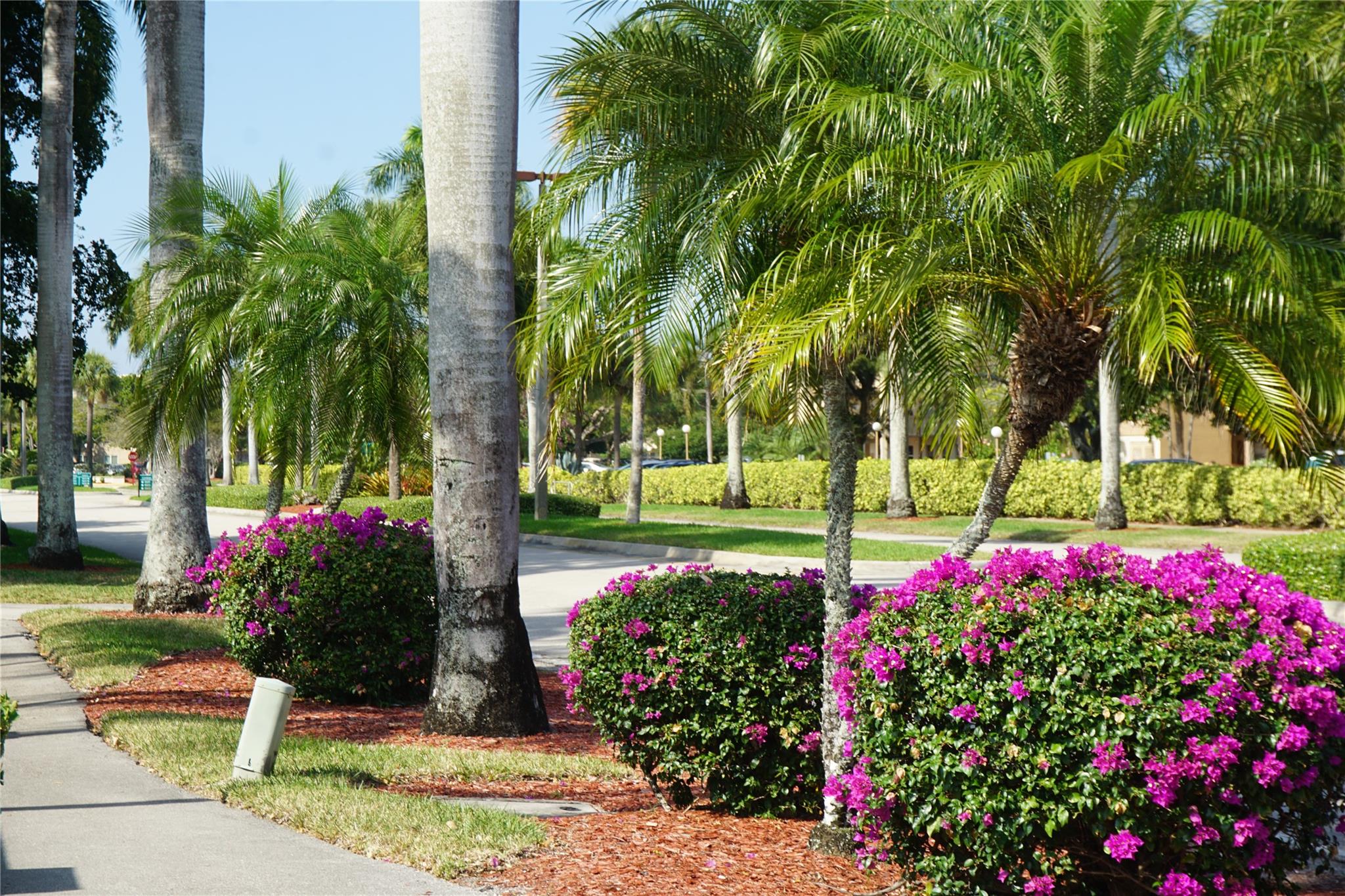 VICTORIA VILLAGE H - Residential