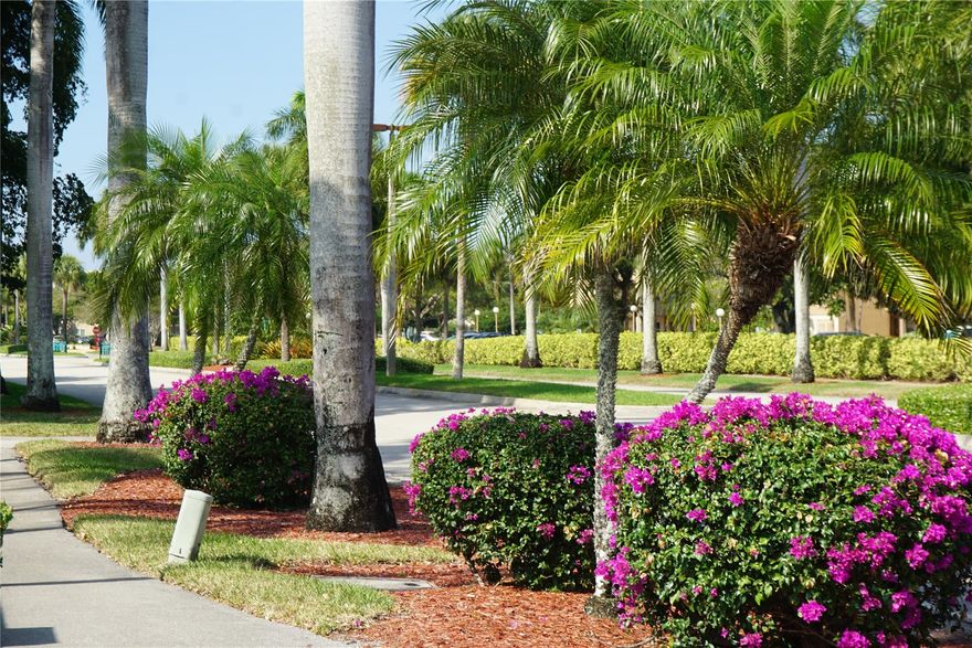 NEW Price Adjustment! Appraised at $135,000! Bring your BEST! BEAUTIFUL 1 bedroom/1 ½ bath Lake View Condo in Upscale/Gated Wynmoor! Comes furnished! Upgrades; Newer Dishwasher, and Electric Panel, newer Sink/Faucet, Shower/Tub, No Carpet! Diagonal Tile floors, Disposal, Granite in Kitchen & Baths. 1st floor Unit, Patio with gorgeous view, rolldown shutters. Assigned parking in front of unit! Laundry, Mailbox & Storage 10 feet away! Building is well maintained! 40 YEAR CERTIFICATION DONE! NEW ROOF! Wynmoor is a Beautiful 55+ Community; swimming pools, Country Club, Clubhouse with tons of activities, free community bus transportation, pharmacy, beautiful 18 hole golf, 12 tennis courts,  billiards, ping pong, fitness center, state of the art theater, restaurants, arts, crafts and much more!