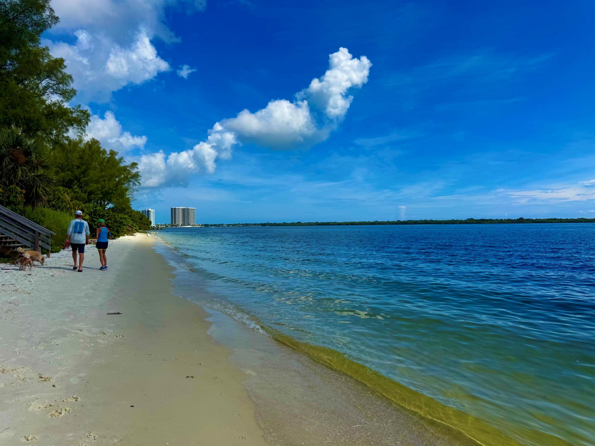 PARADISE HARBOUR CONDO - Residential