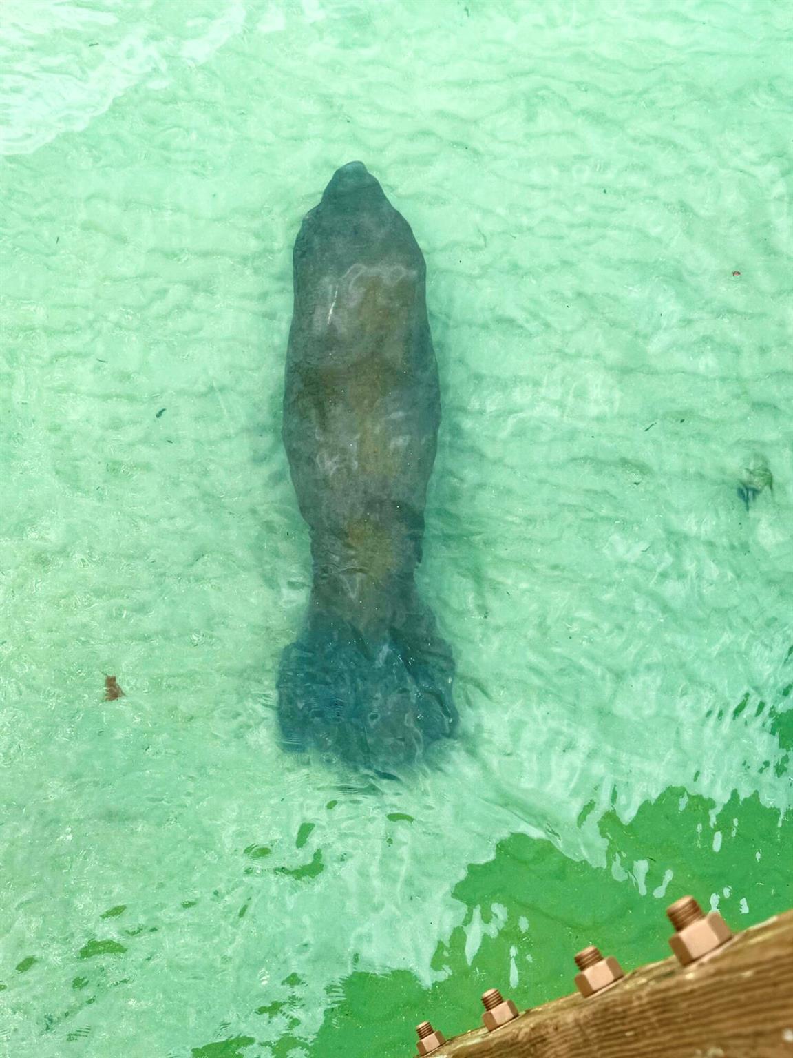 PARADISE HARBOUR CONDO - Residential