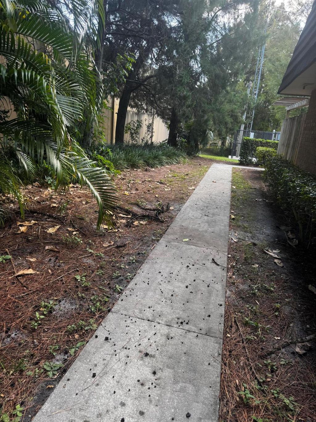 Photo of 417 4th Lane, Palm Beach Gardens, FL 33418 (MLS # R11141662)