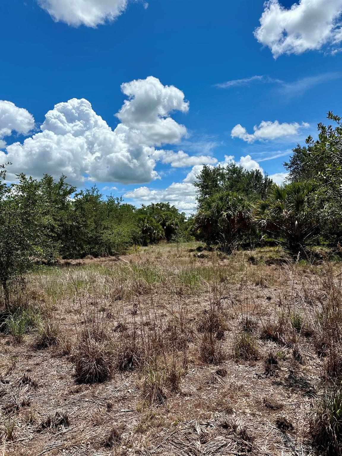 CABBAGE WOODS RANCHES - Land