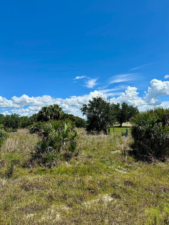 CABBAGE WOODS RANCHES - Land