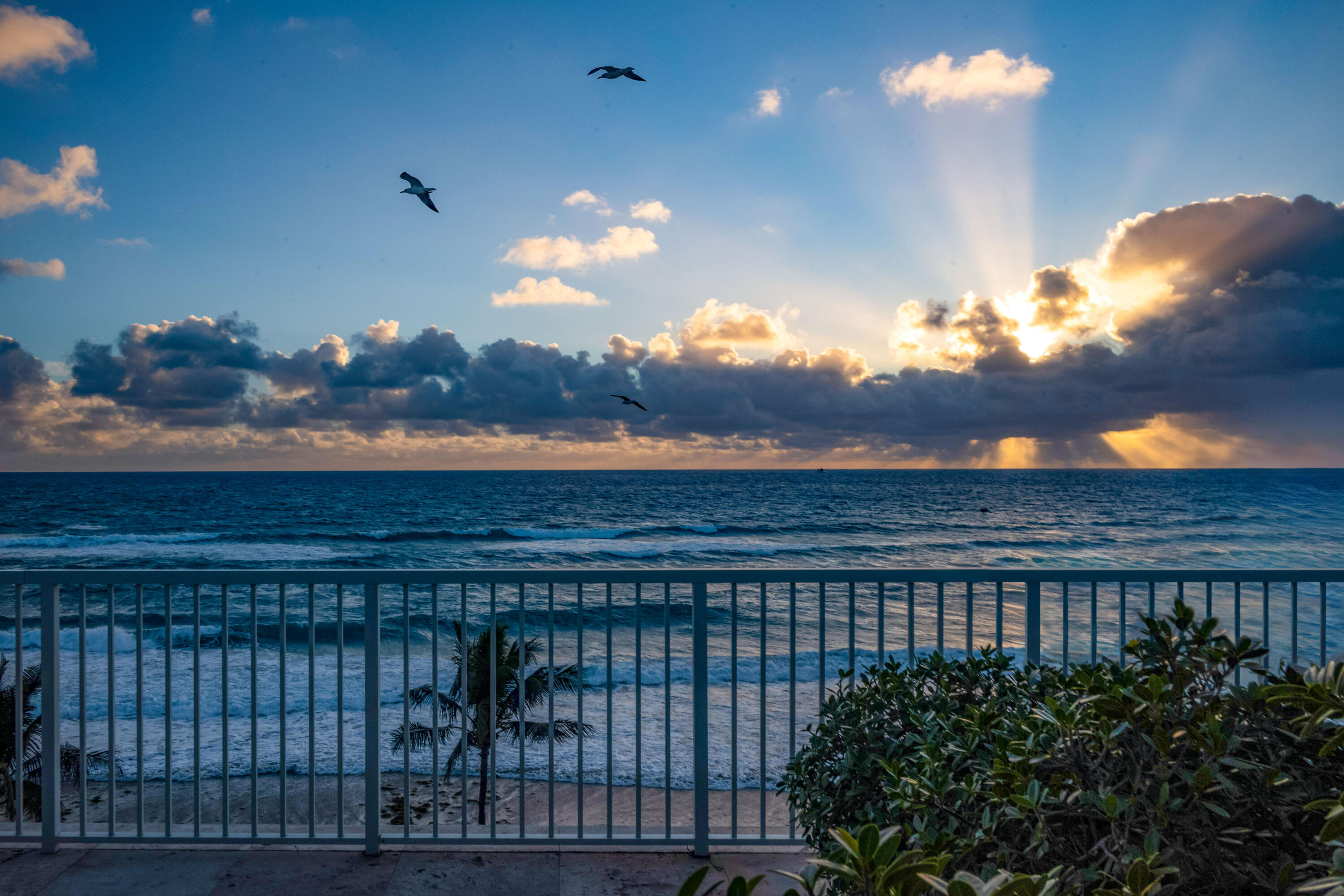 FOUR HUNDRED SO OCEAN BLVD CONDO - Residential