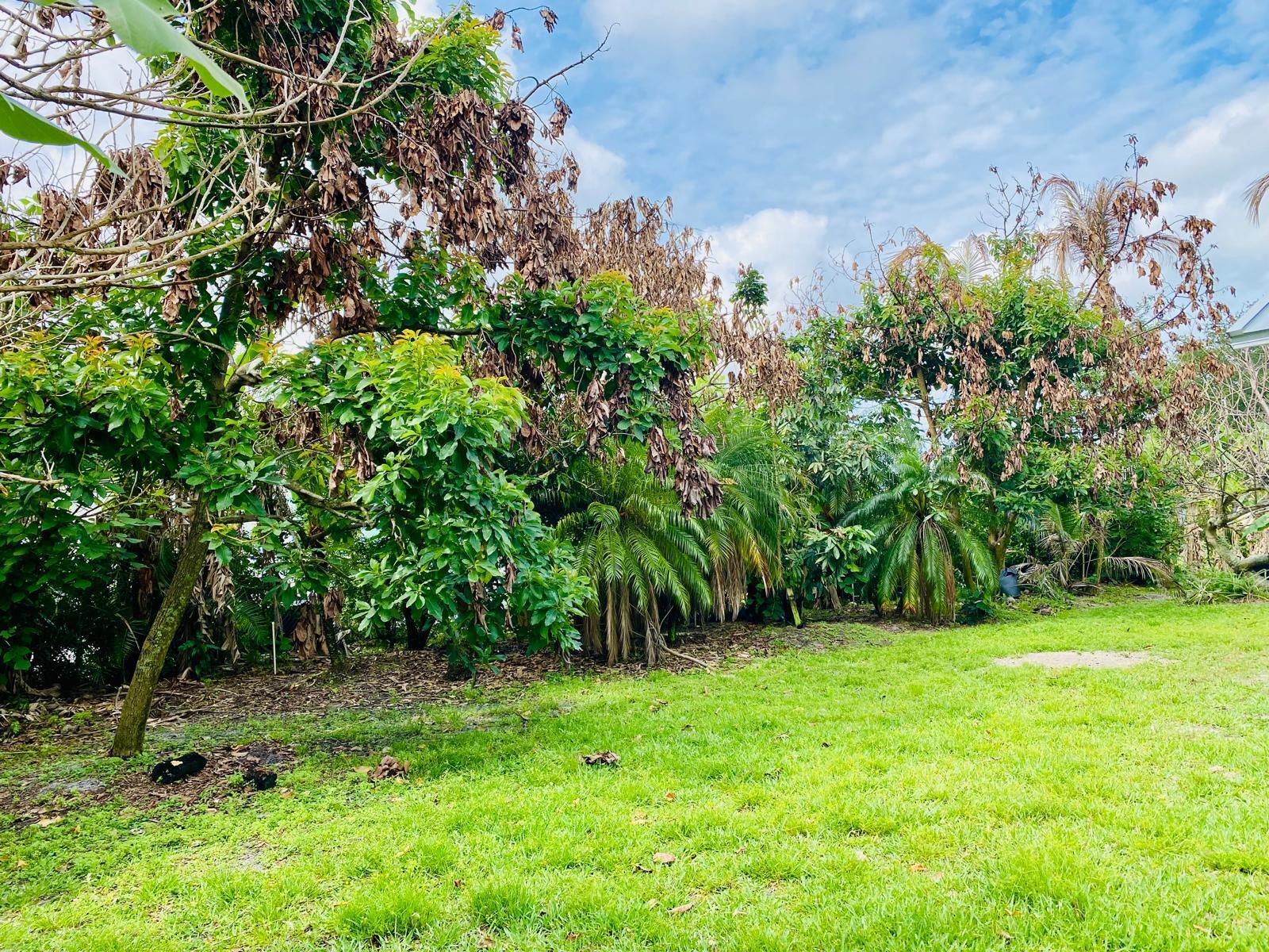 PORT ST LUCIE SECTION 44 - Residential Lease
