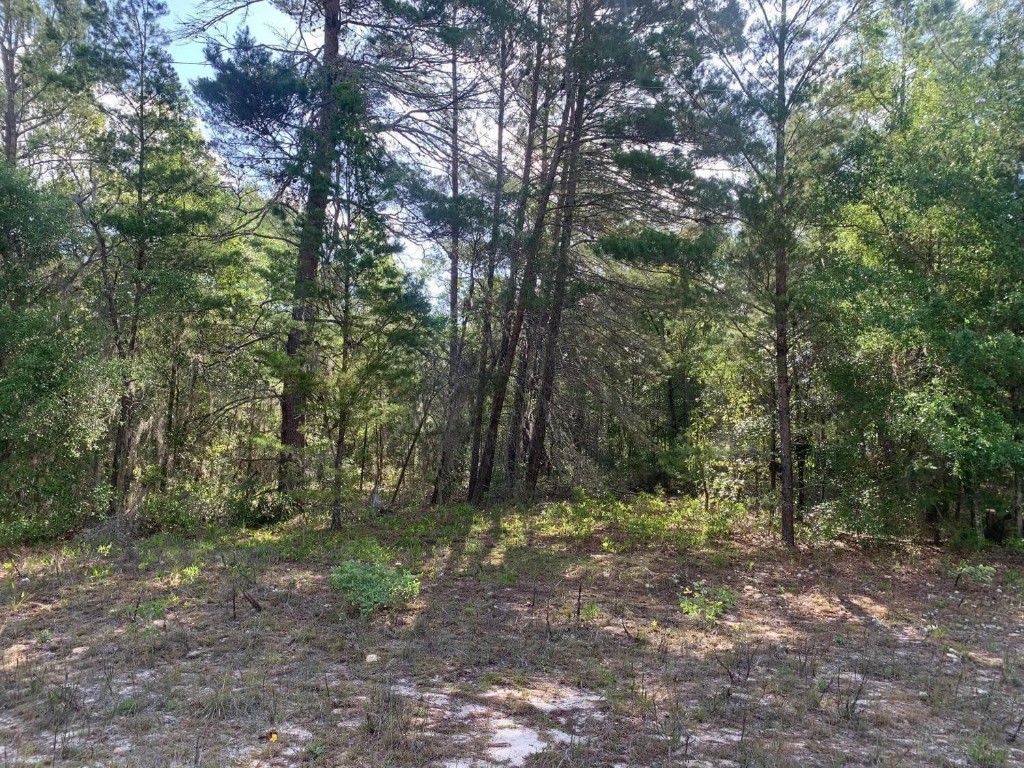 Interlachen Lakes Estates - Land