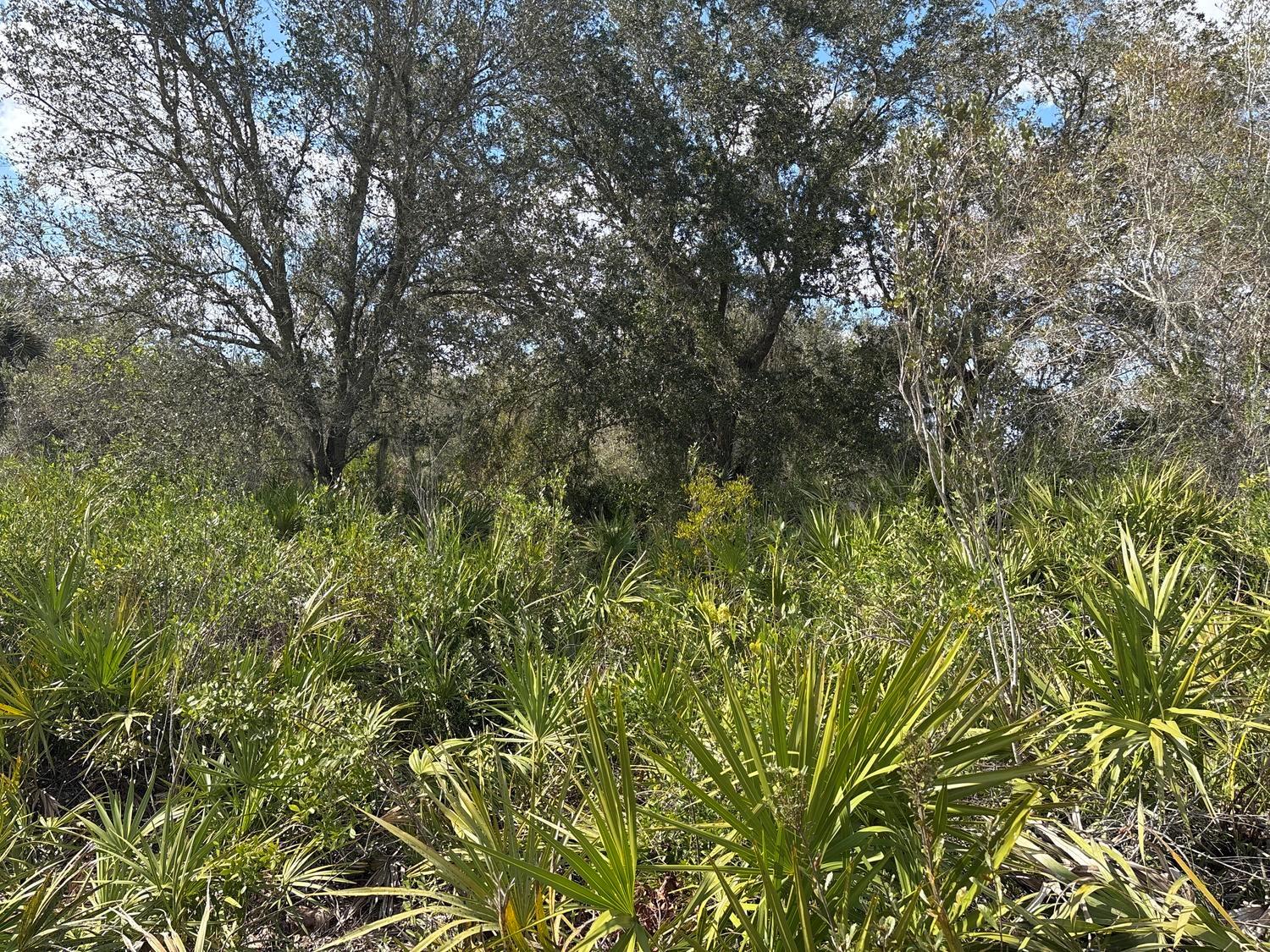 Vk296 Viking Estates - Land