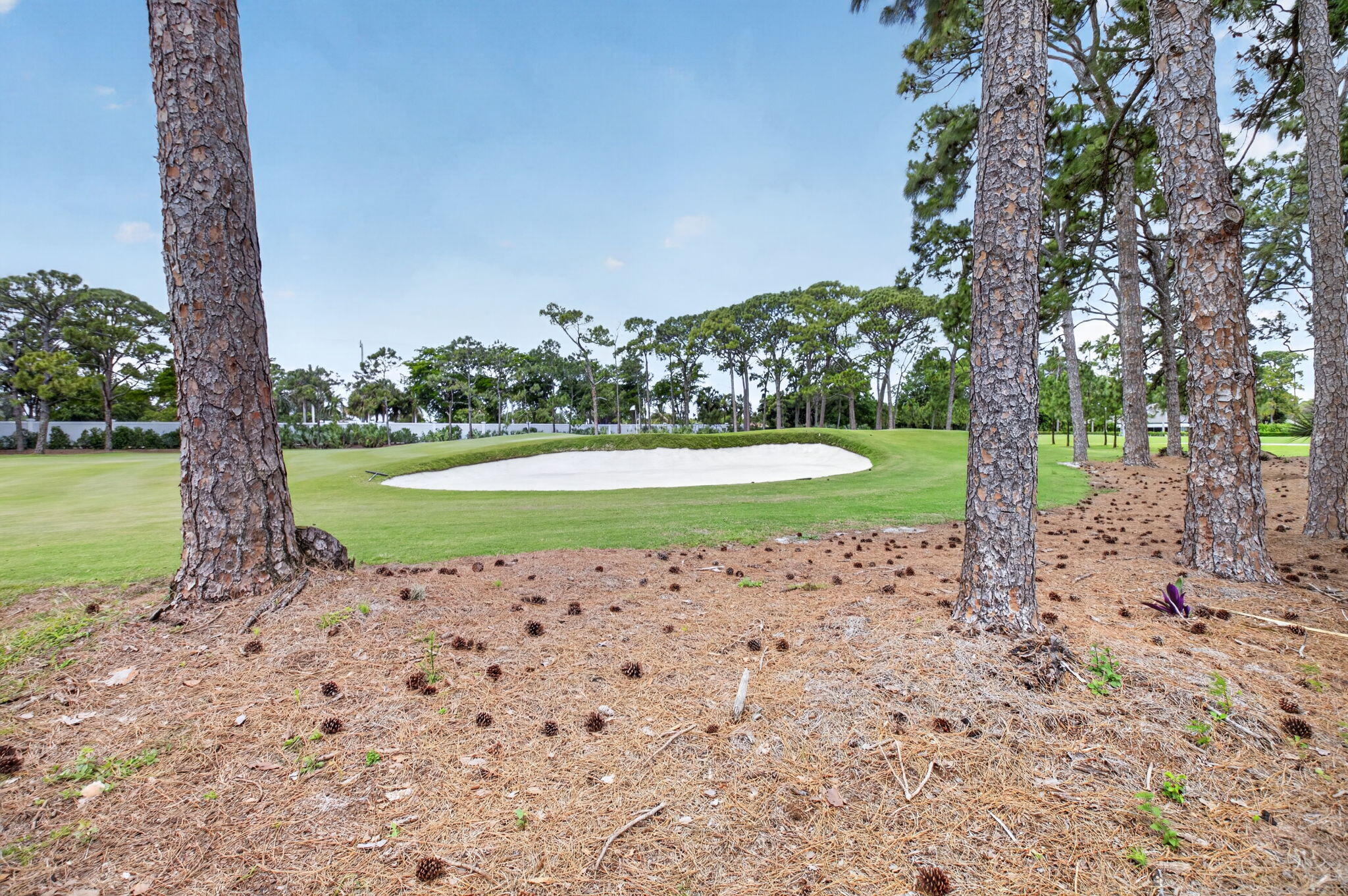 Seagate Golf at The Hamlet - Residential