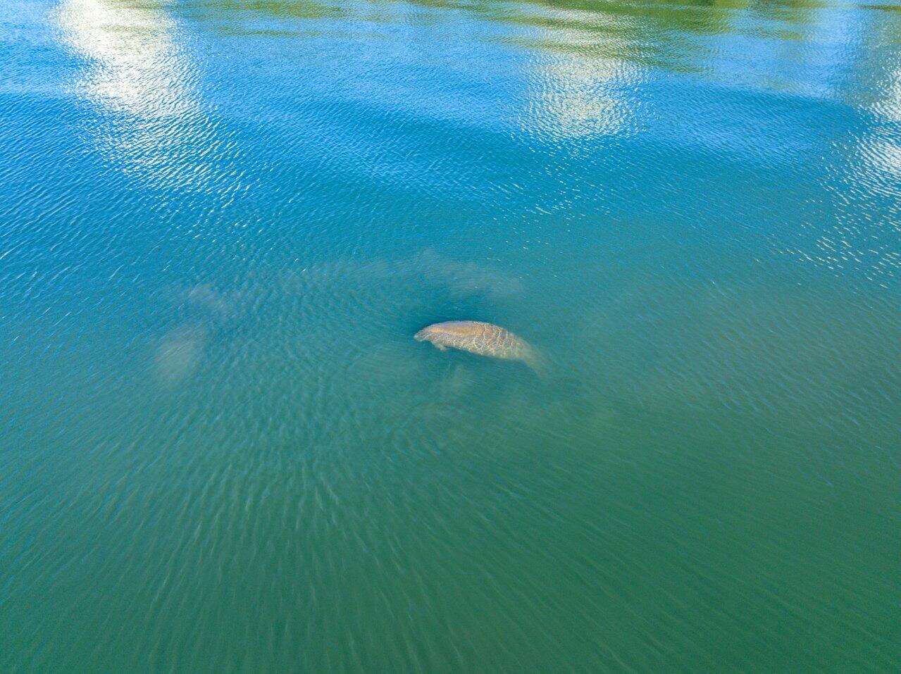 5000 NORTH OCEAN - Residential