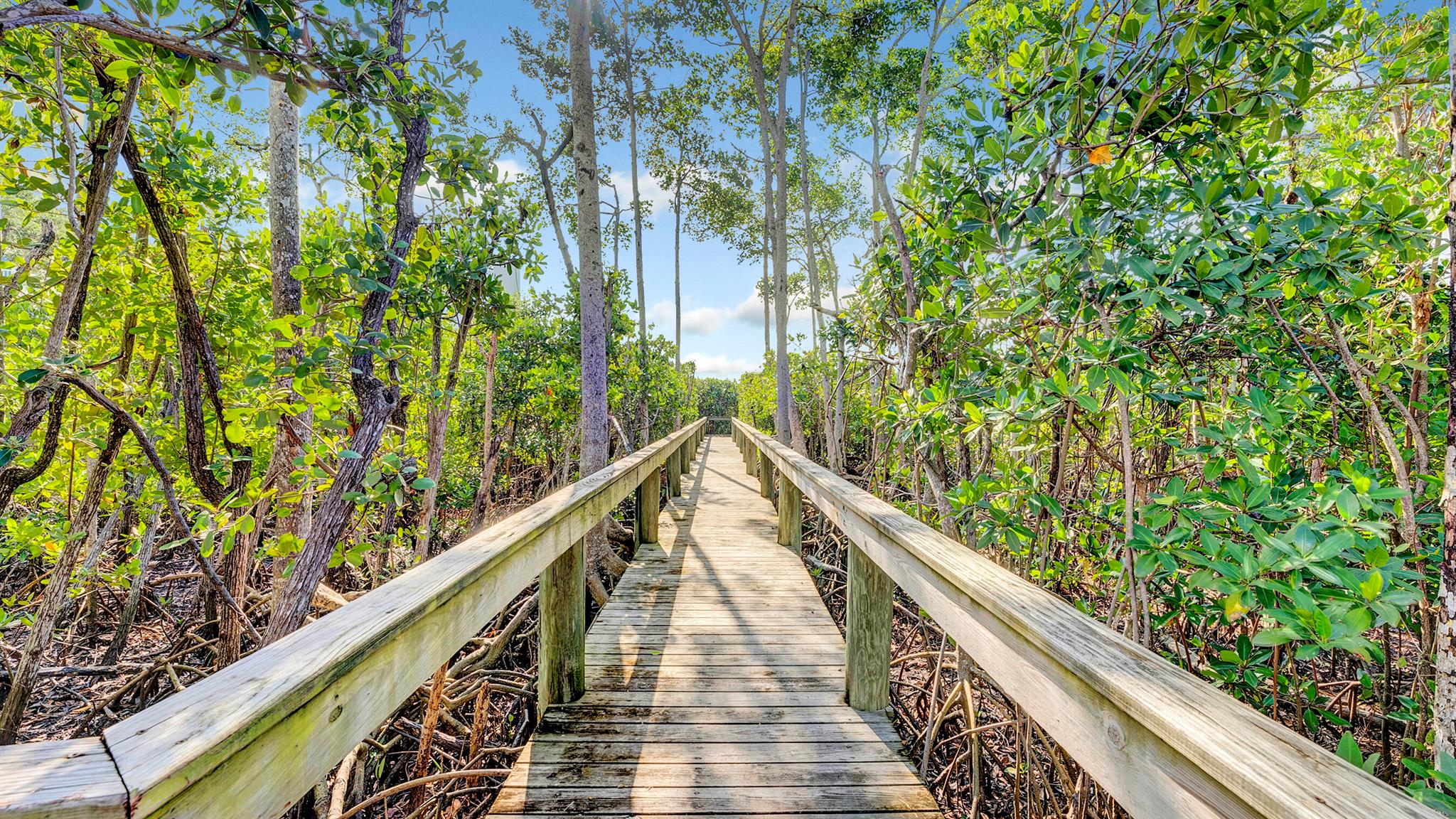 3200 South Ocean, A Seaga - Residential