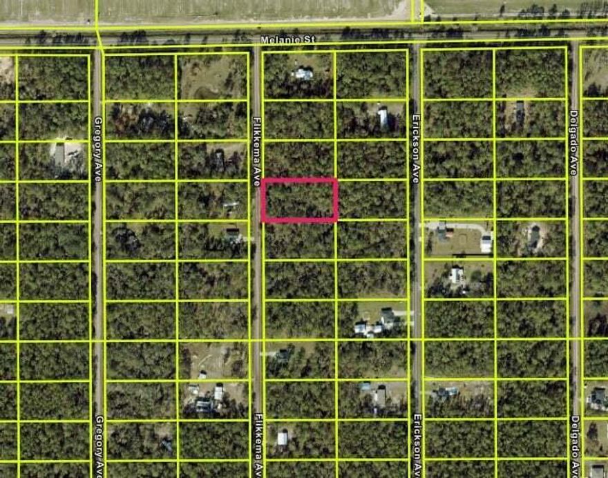 Discover affordable 1.14 acres of peaceful country living in Flagler Estates, Florida--private yet close to everything. Build your dream home or future investment on this spacious lot, zoned Residential/Open Rural (OR) for site-built, modular, or manufactured homes. There's electric available, and you can add your own well and septic for self-sufficient living. Enjoy fishing ATV rides, and stargazing in a quiet, natural setting. Minutes from Deep Creek and the St. Johns River, and about 30 minutes from St. Augustine Beach. With no HOA, no CDD, and no time limit to build, this property offers true freedom and affordable Florida living. Tour your peice of real life paradise today!