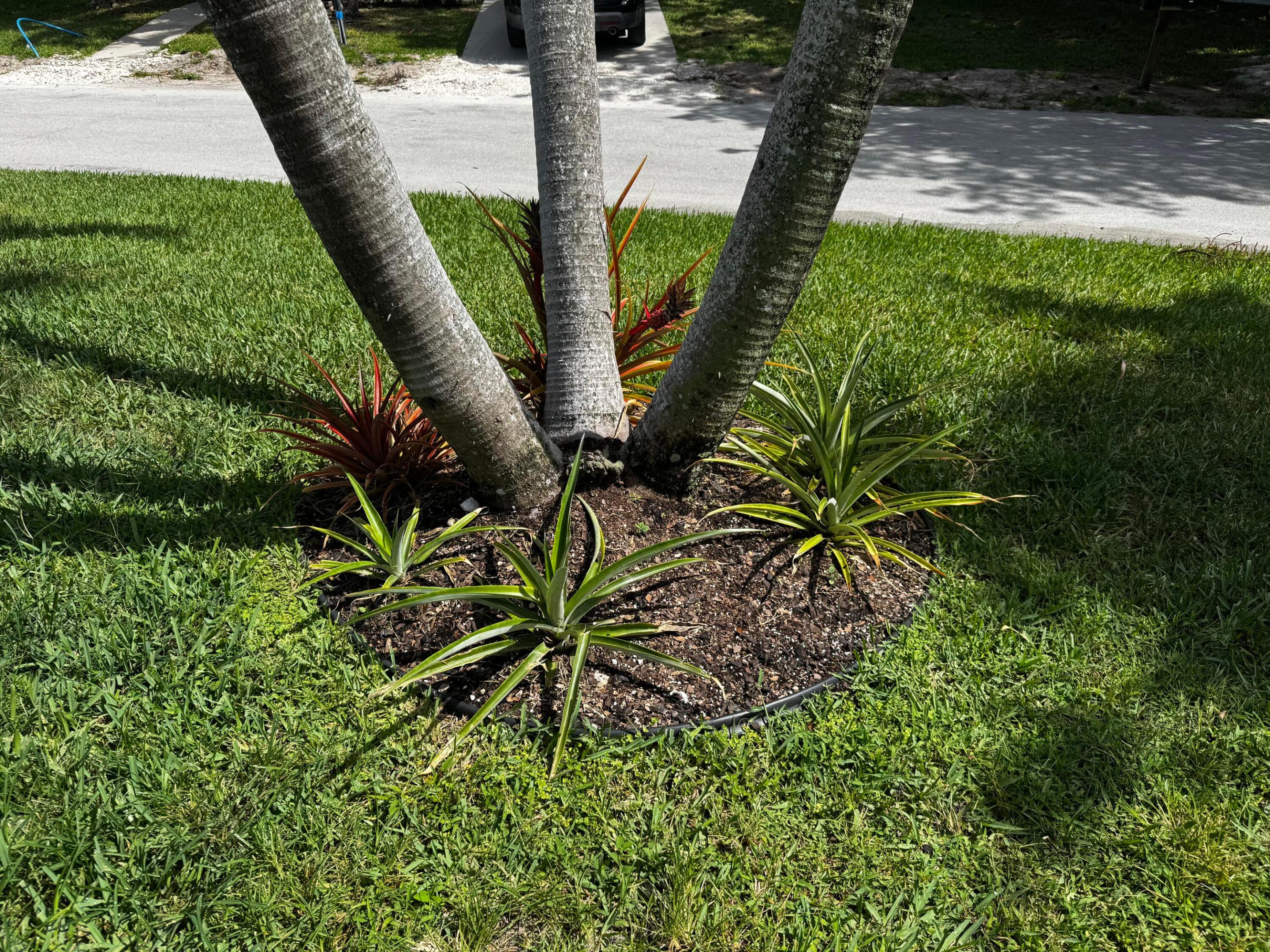 Maralago Cay - Residential