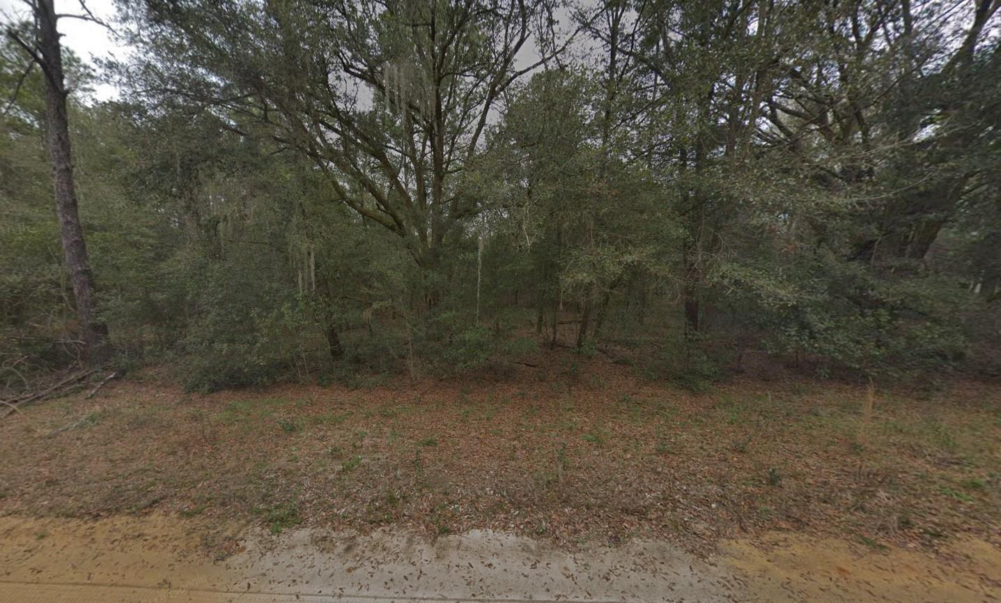 OWNER FINANCING CONSIDERED! Discover your opportunity to own a piece of beautiful Interlachen Lakes Estates! This vacant lot offers the perfect setting for your future home or investment property. Nestled in a quiet, wooded area surrounded by natural Florida beauty, this parcel provides privacy while still being close to local amenities, shopping, and schools. With numerous lakes nearby, outdoor enthusiasts can enjoy boating, fishing, and kayaking just minutes away. Power is available in the area. Whether you're looking to build your dream home, place a mobile/manufactured home, or hold for the future, this affordable property is full of potential. Don't miss your chance to own land in this growing community! FOR DIRECTIONAL PURPOSES USE THE NEIGHBORING ADDRESS 618 KENNEDY AVE