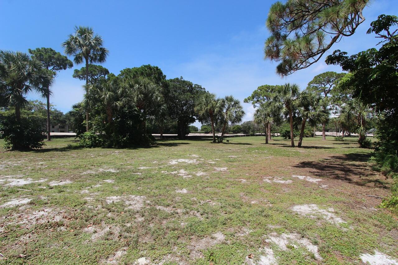442 E Royal Palm Road