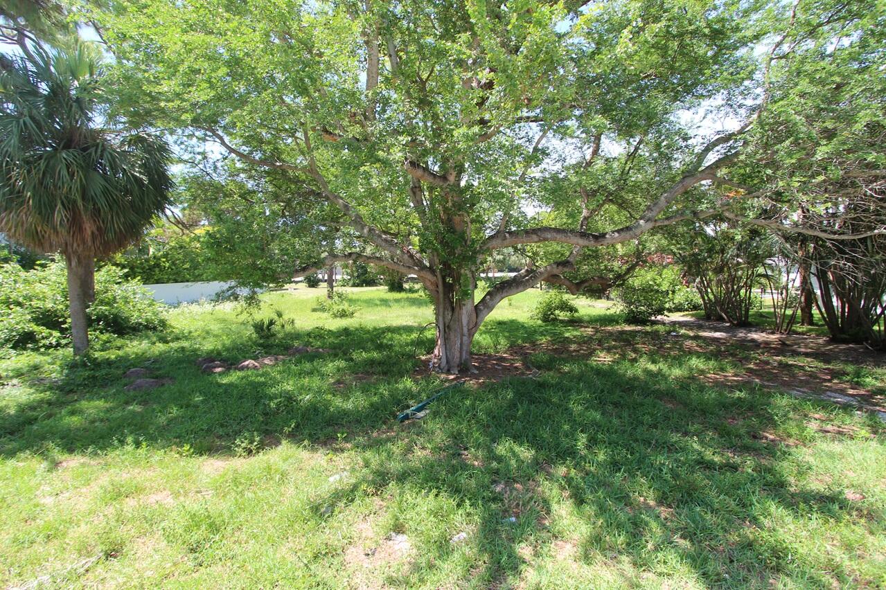 442 E Royal Palm Road