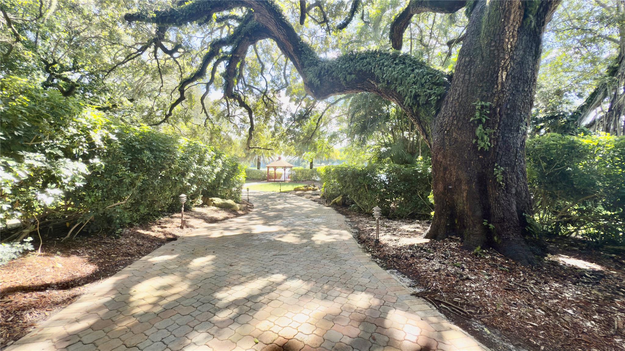 Poinciana #12a Pine Islan - Residential Lease