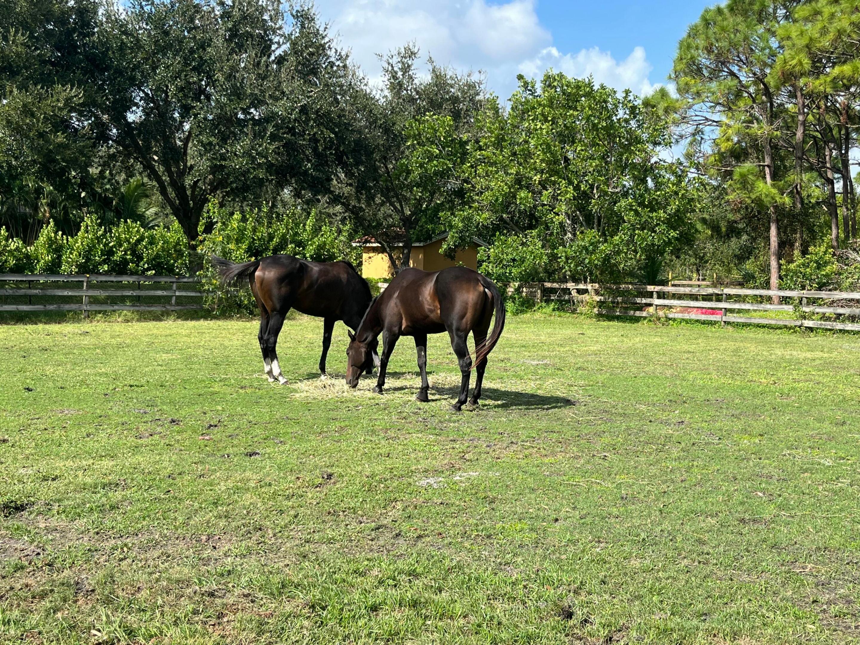 ST LUCIE GARDENS - Residential