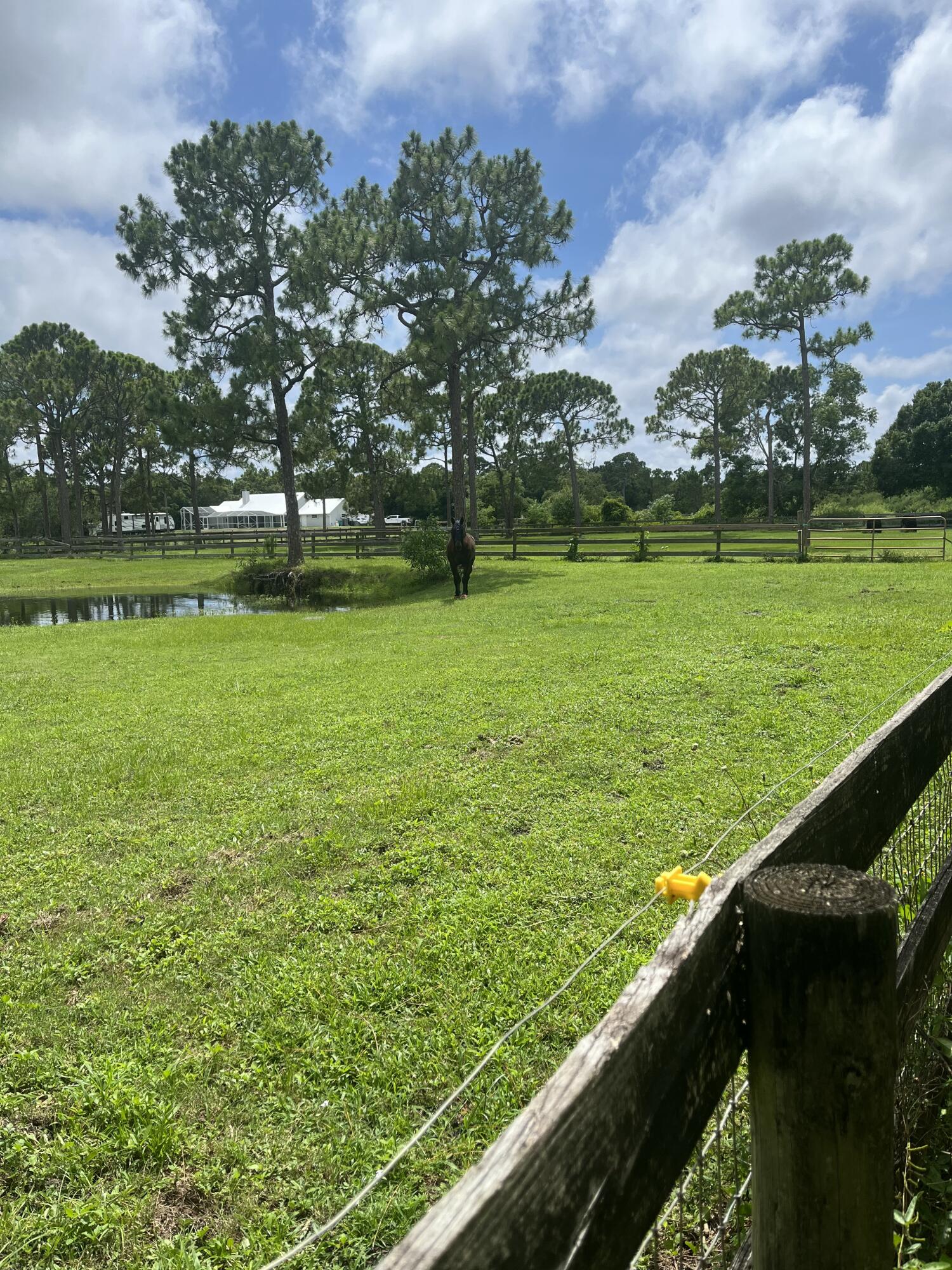 ST LUCIE GARDENS - Residential
