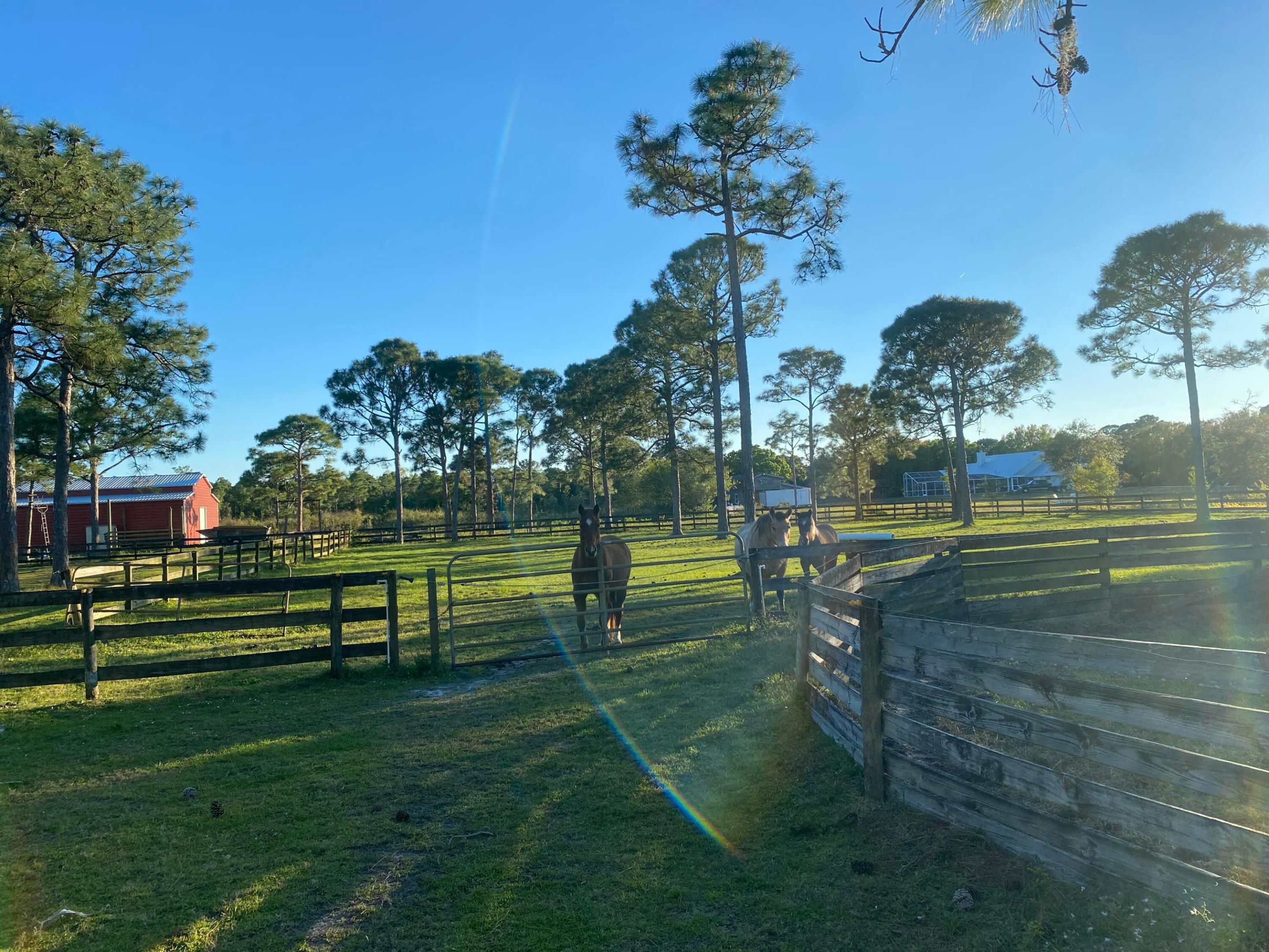 ST LUCIE GARDENS - Residential