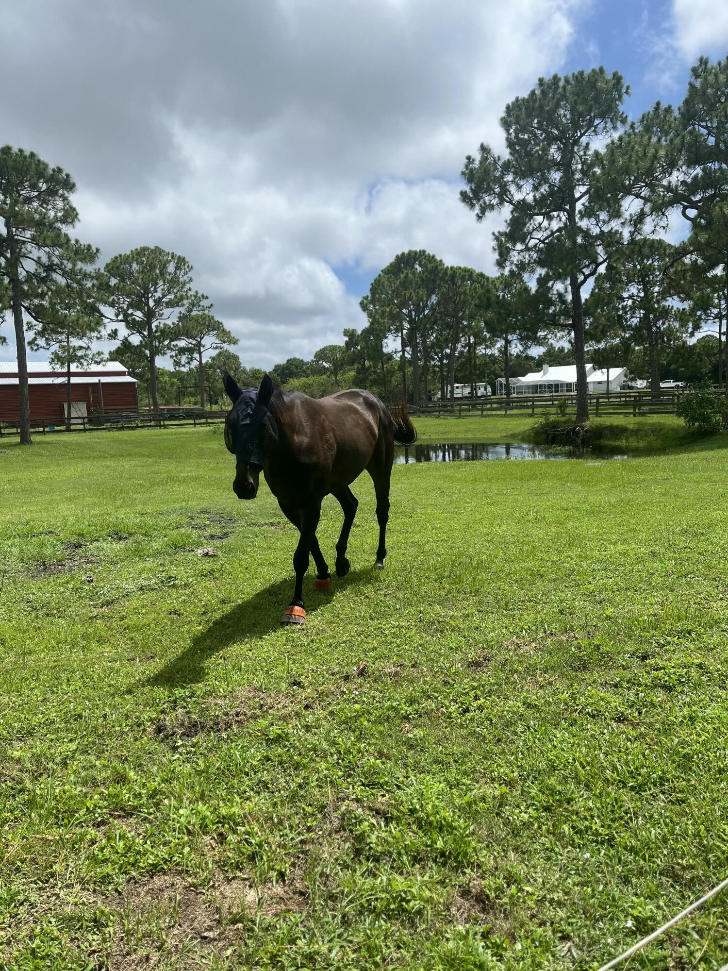 ST LUCIE GARDENS - Residential