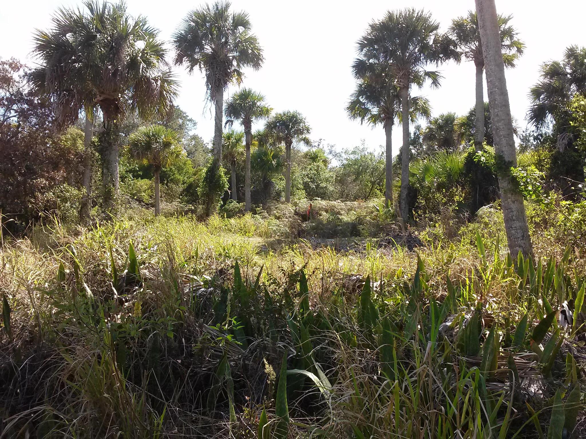 HEERMAN'S SUBDIVISION - Land